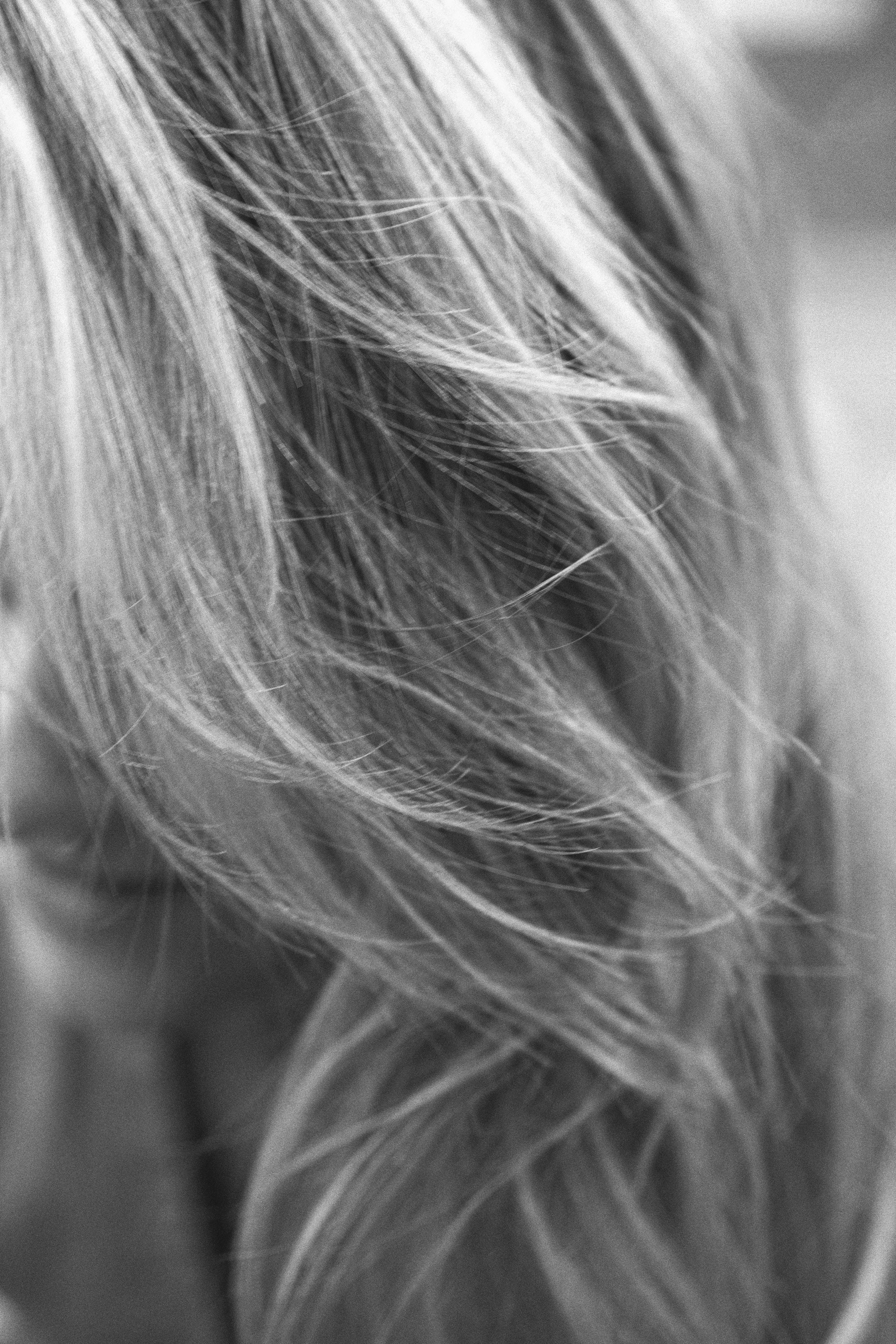 PHOTOGRAPHY. PHOTOGRAPHER FOR PERSONAL AND BRAND STORIES PORTO PORTUGAL WORLDWIDE