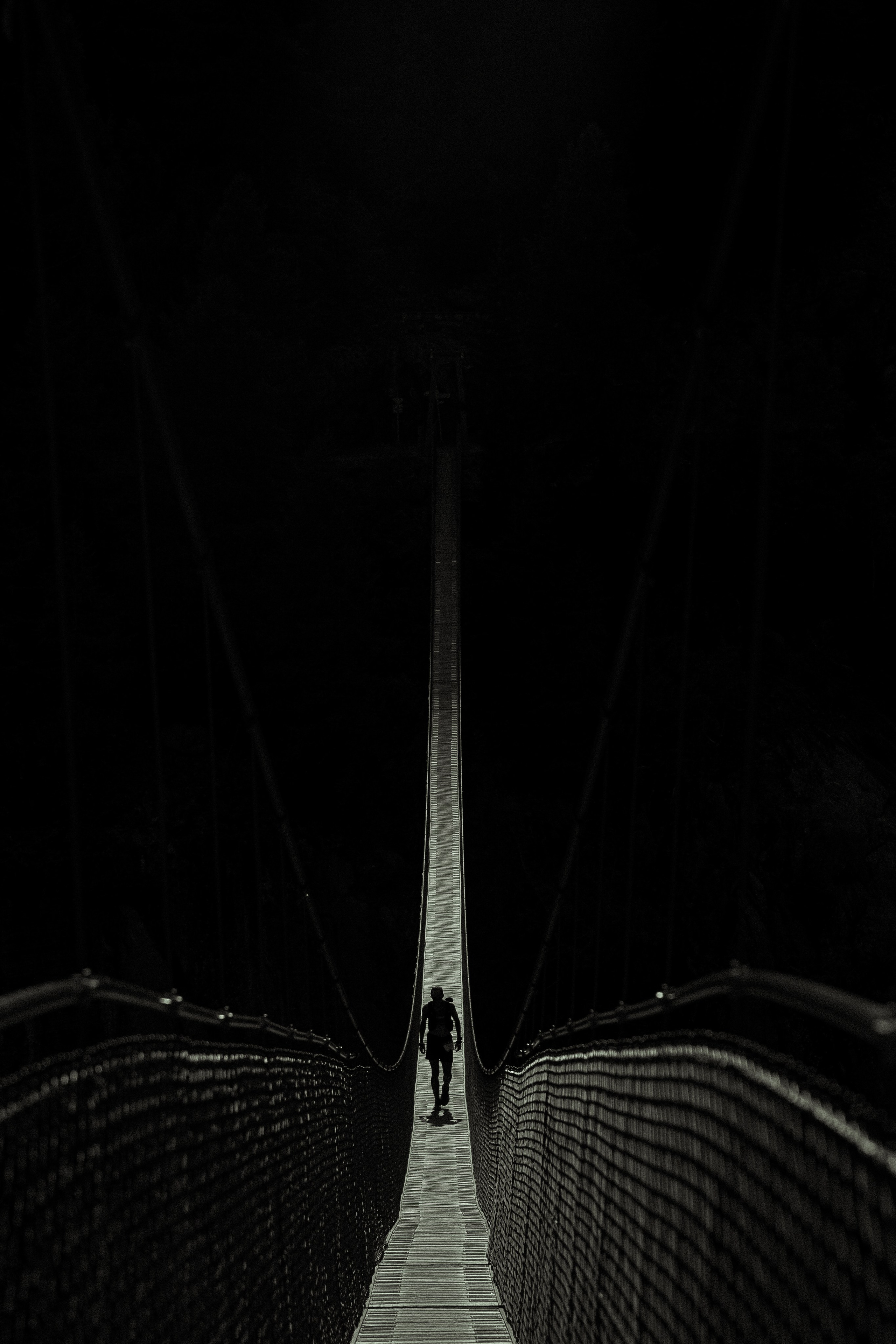 Olive deconstruction. Outdoor and art photographer. Alisa Lutchenkova