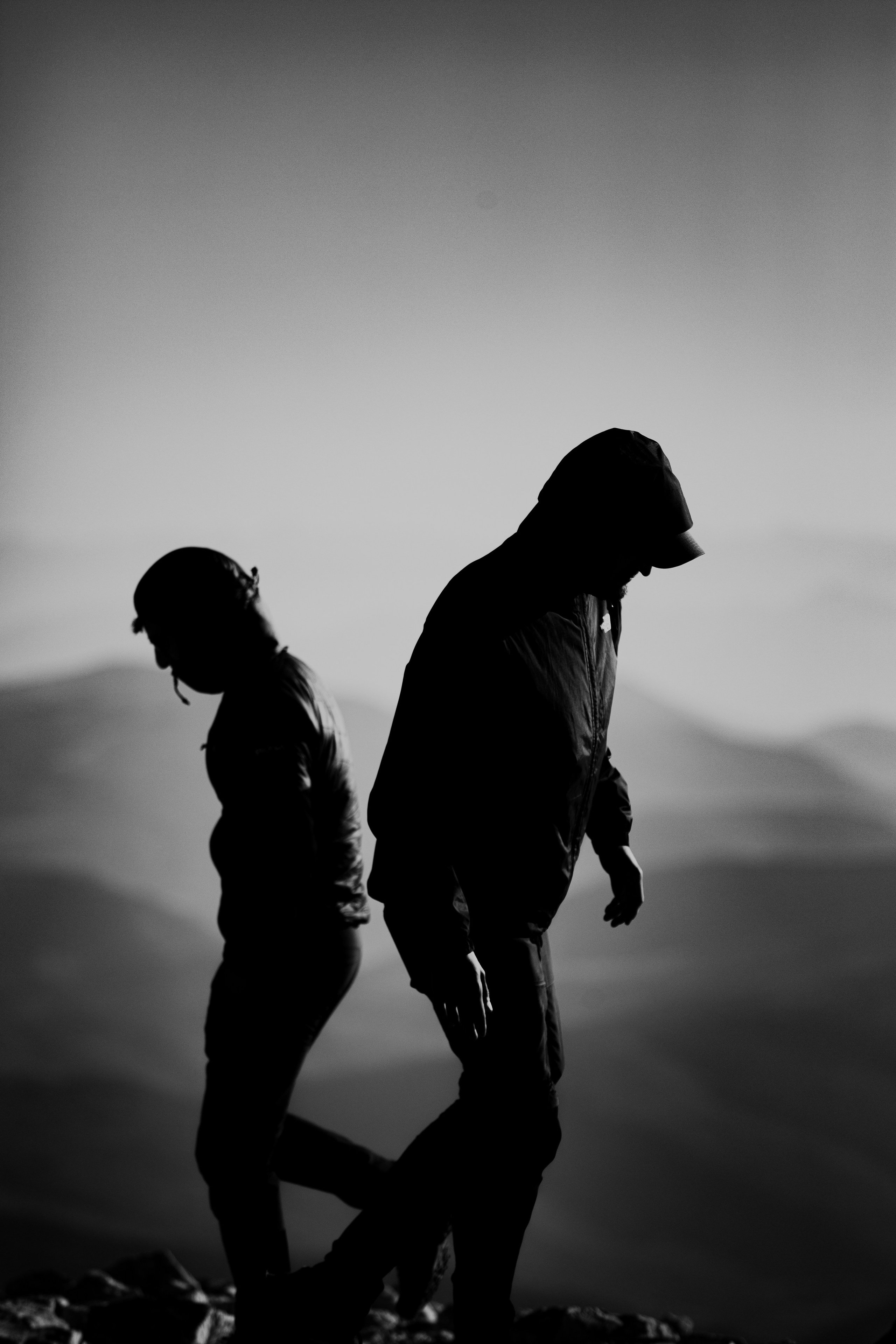 Olive deconstruction. Outdoor and art photographer. Alisa Lutchenkova