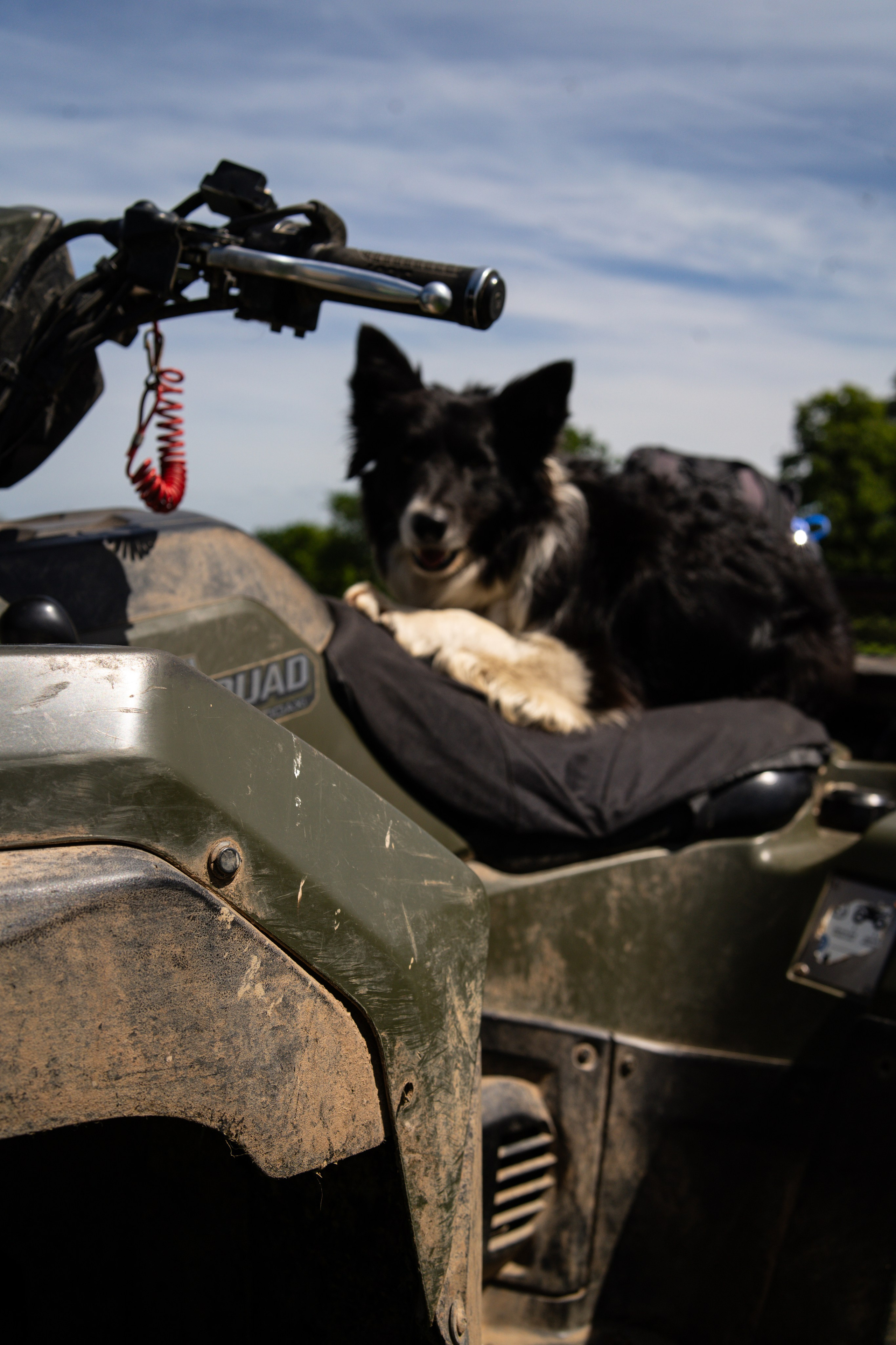 Farm Diary. Ryan Hewitt Photographer