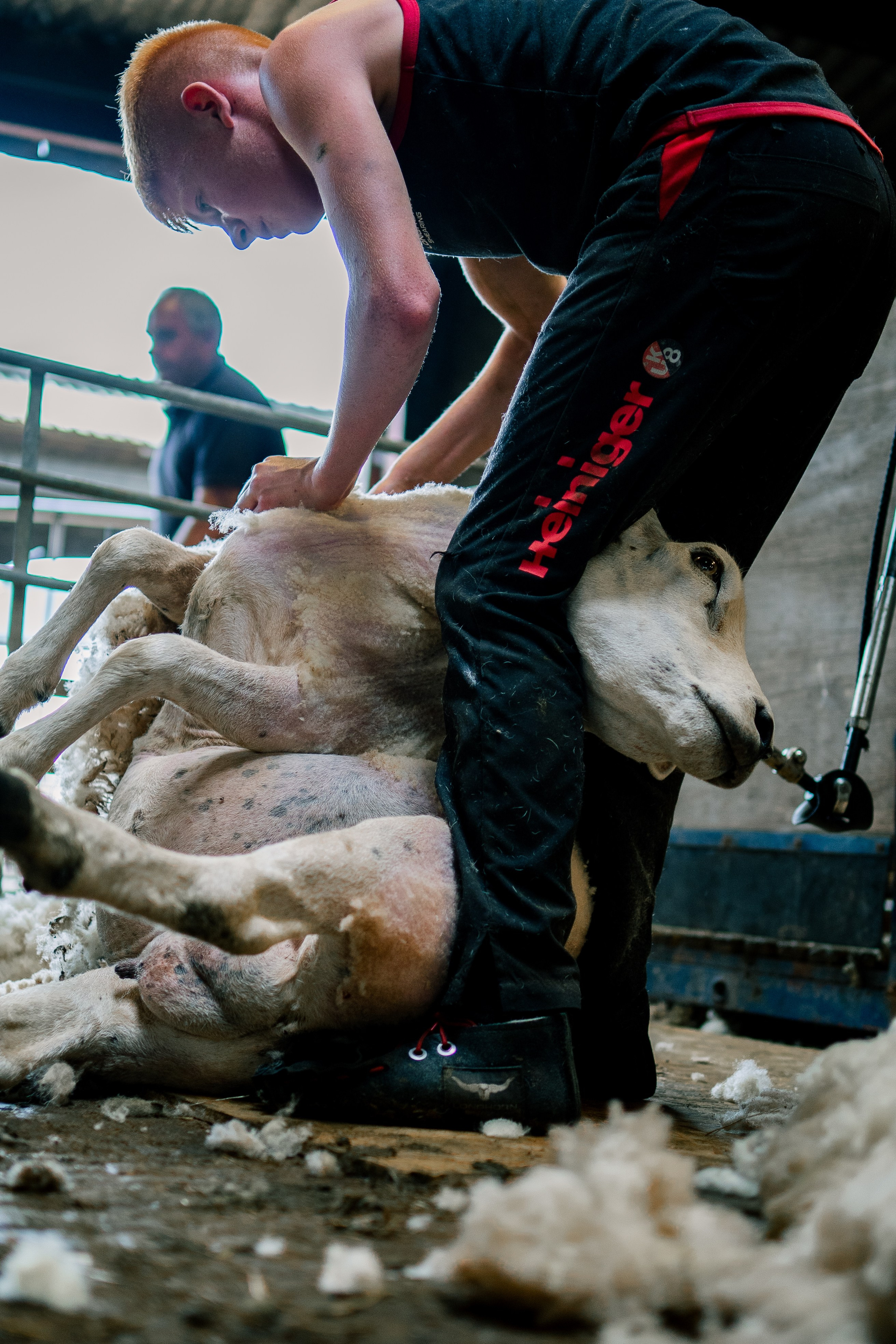 Farm Diary. Ryan Hewitt Photographer