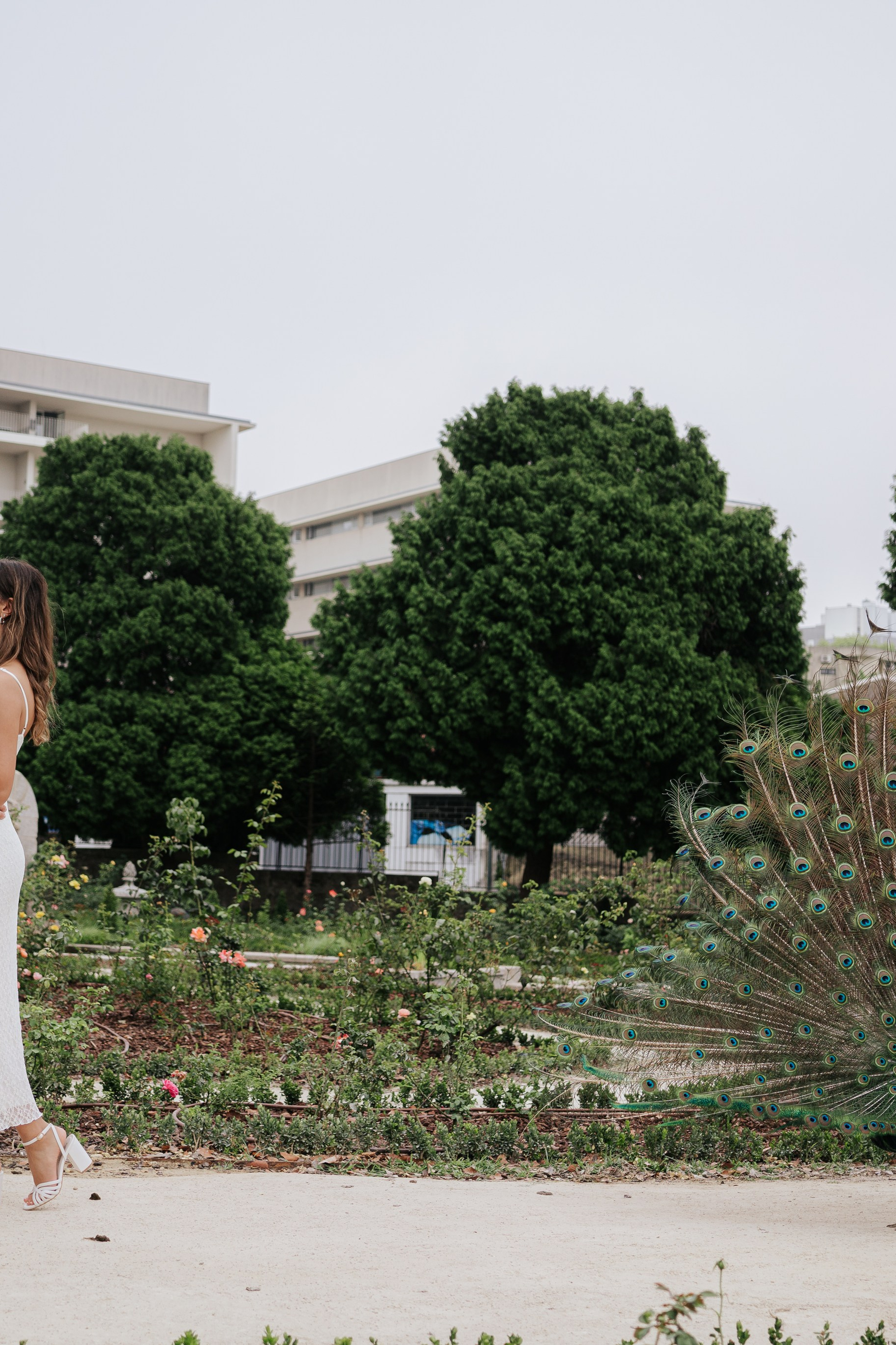 Pre Wedding Giovanna e André