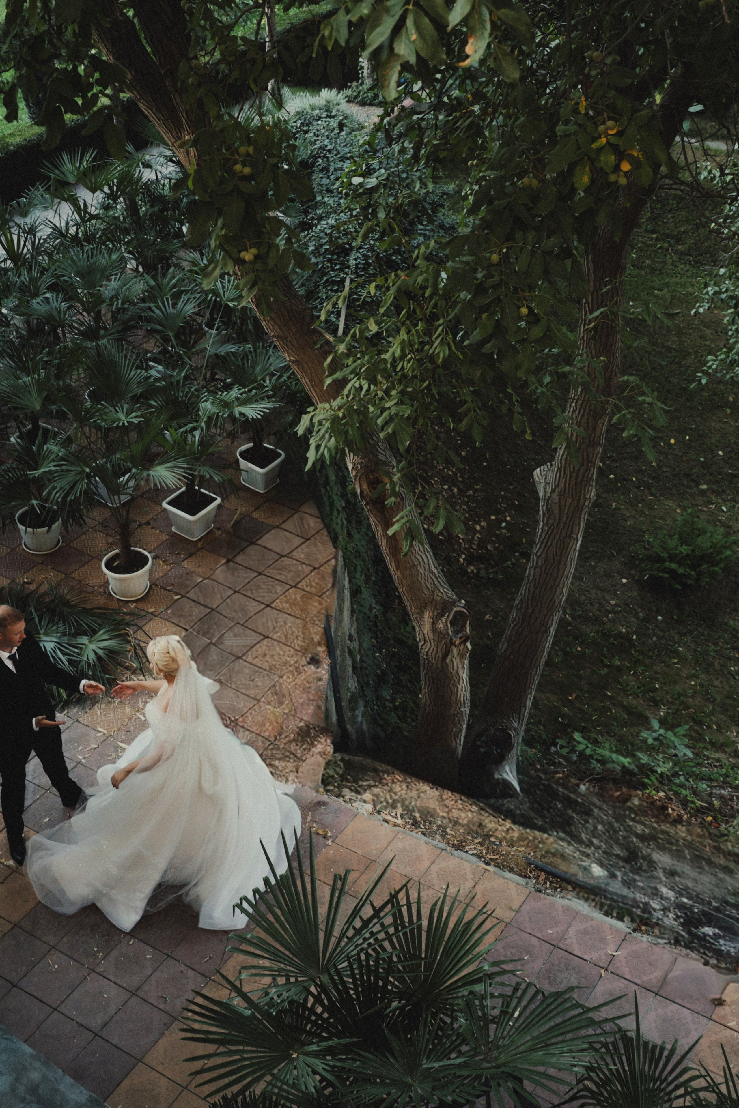 2025 свадьбы. Валерия Вартанова. Фотограф