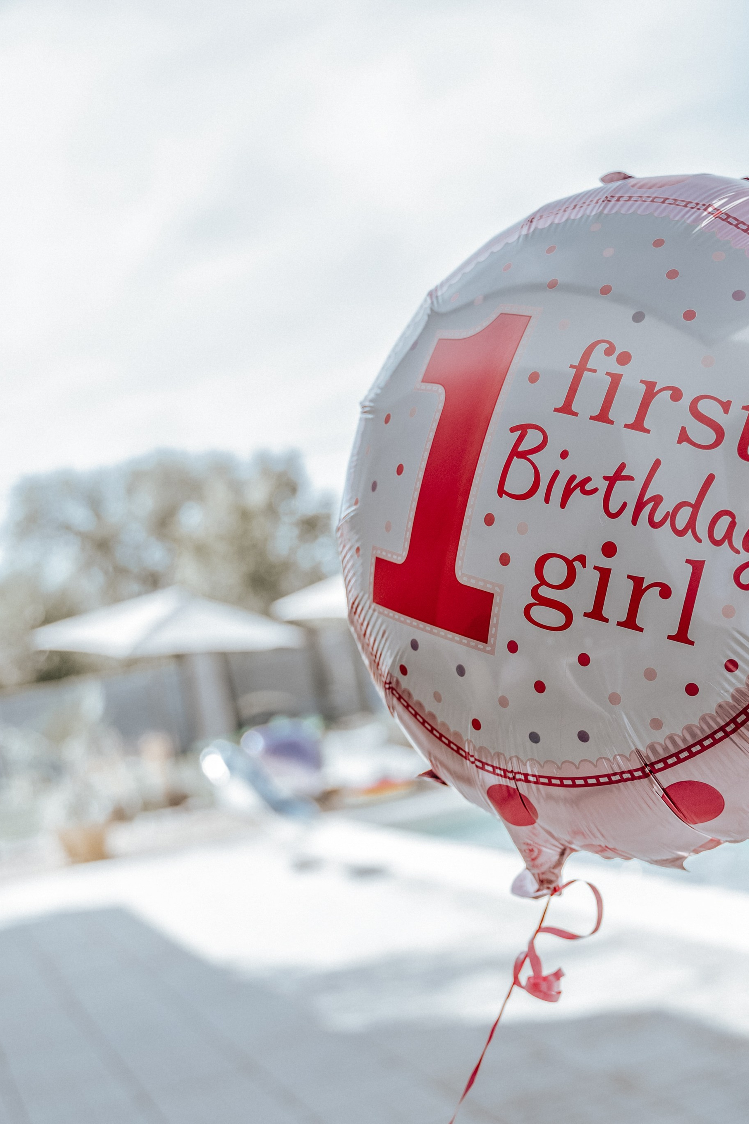 Galerije. Luka Pejcic Photography