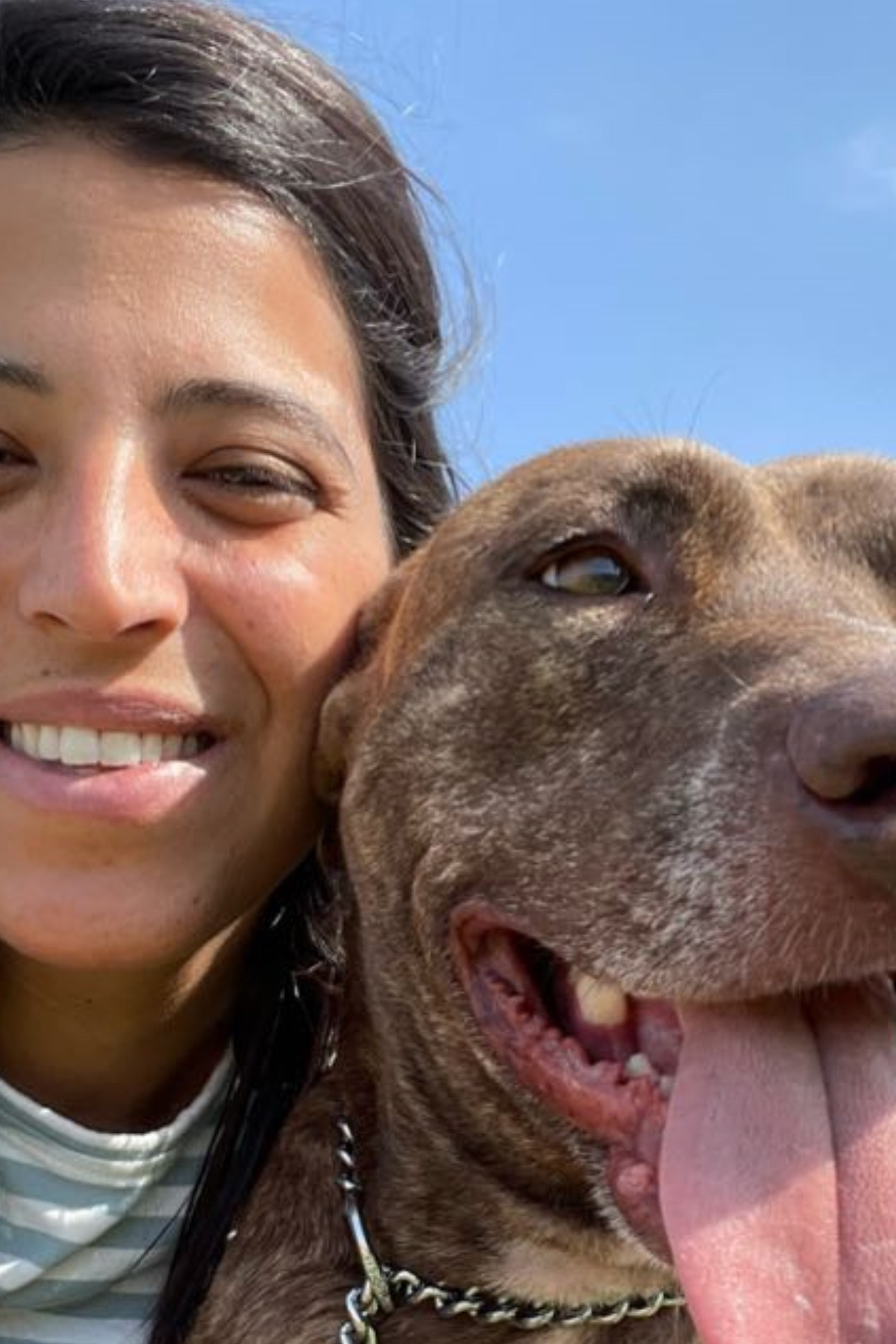 Testimonials. Zimin Iliya — Wedding Videographer