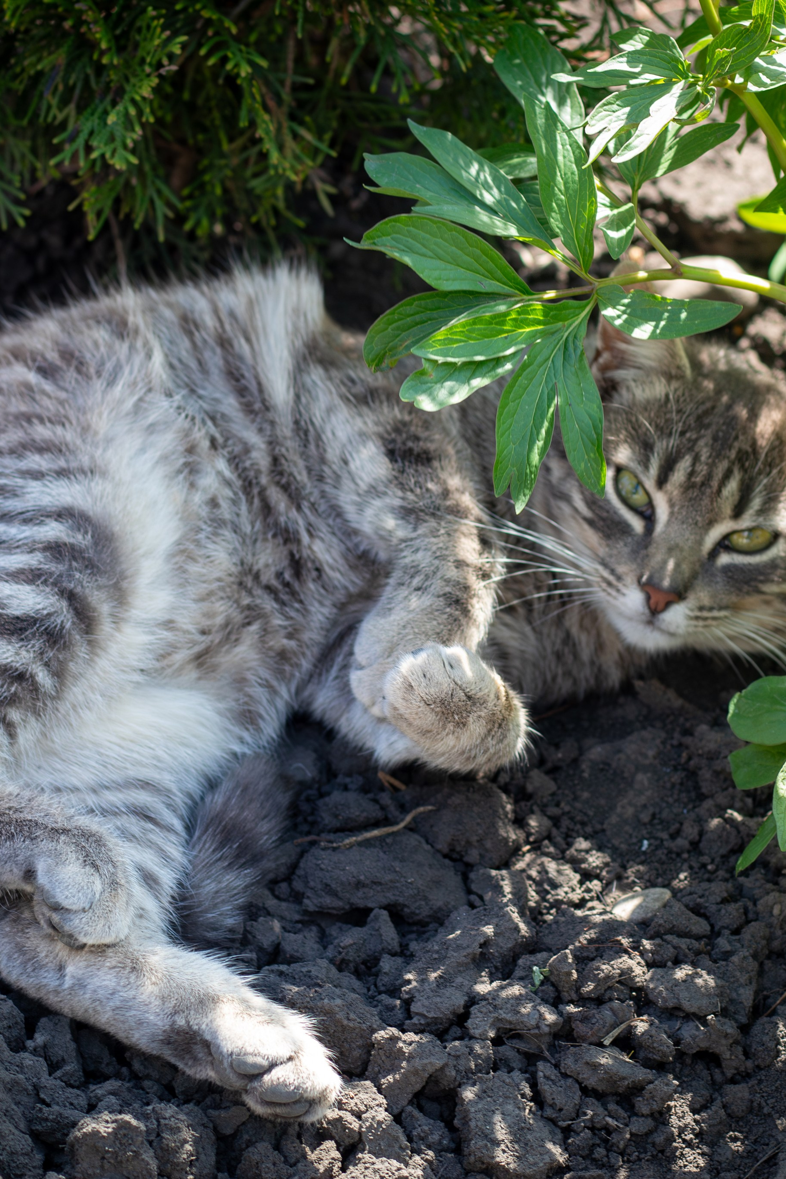 Stories. Cristian Baltag | Photography | Capturing Moments in Iasi