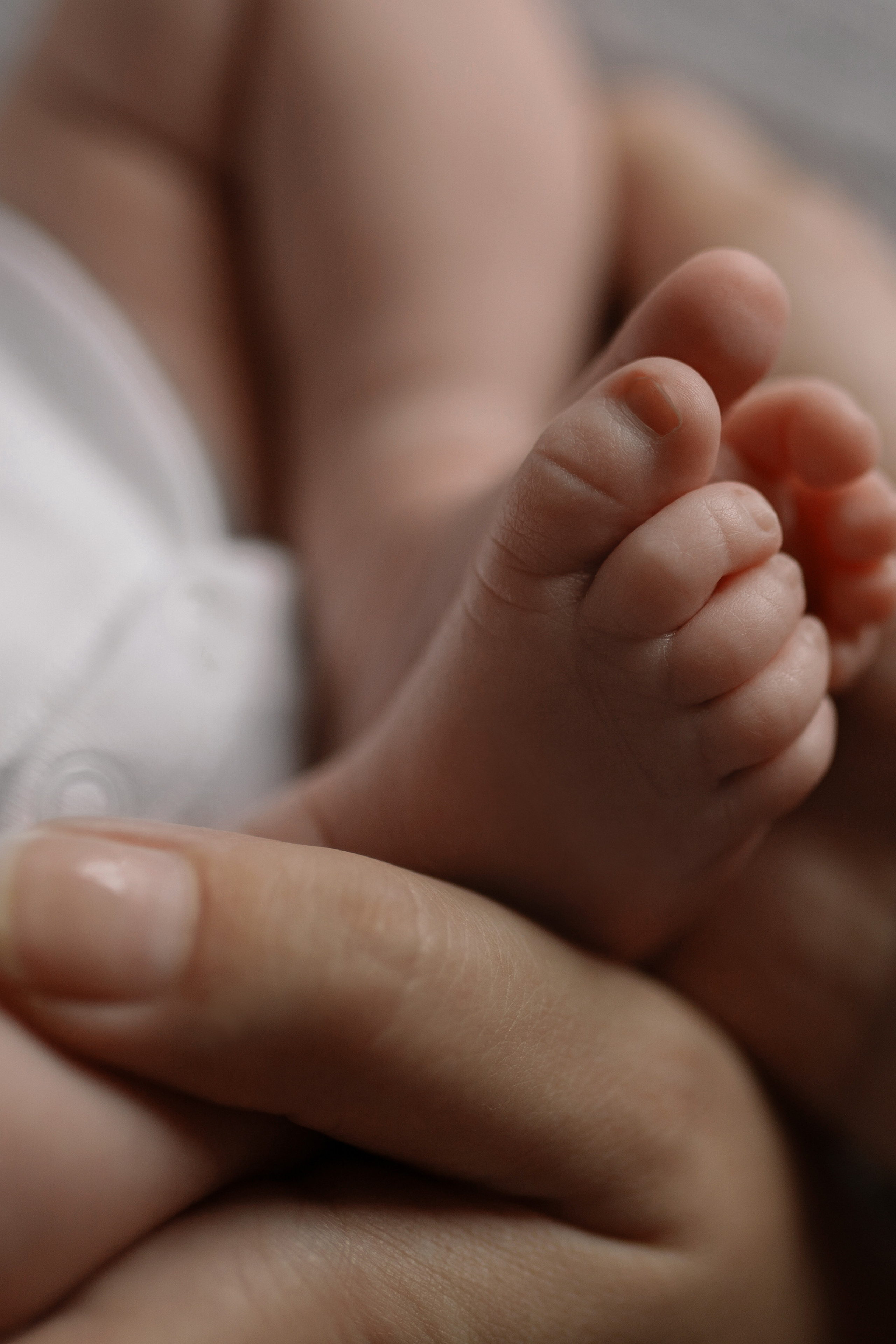 Newborn. Premium Maternity, Newborn & Family Photography in London