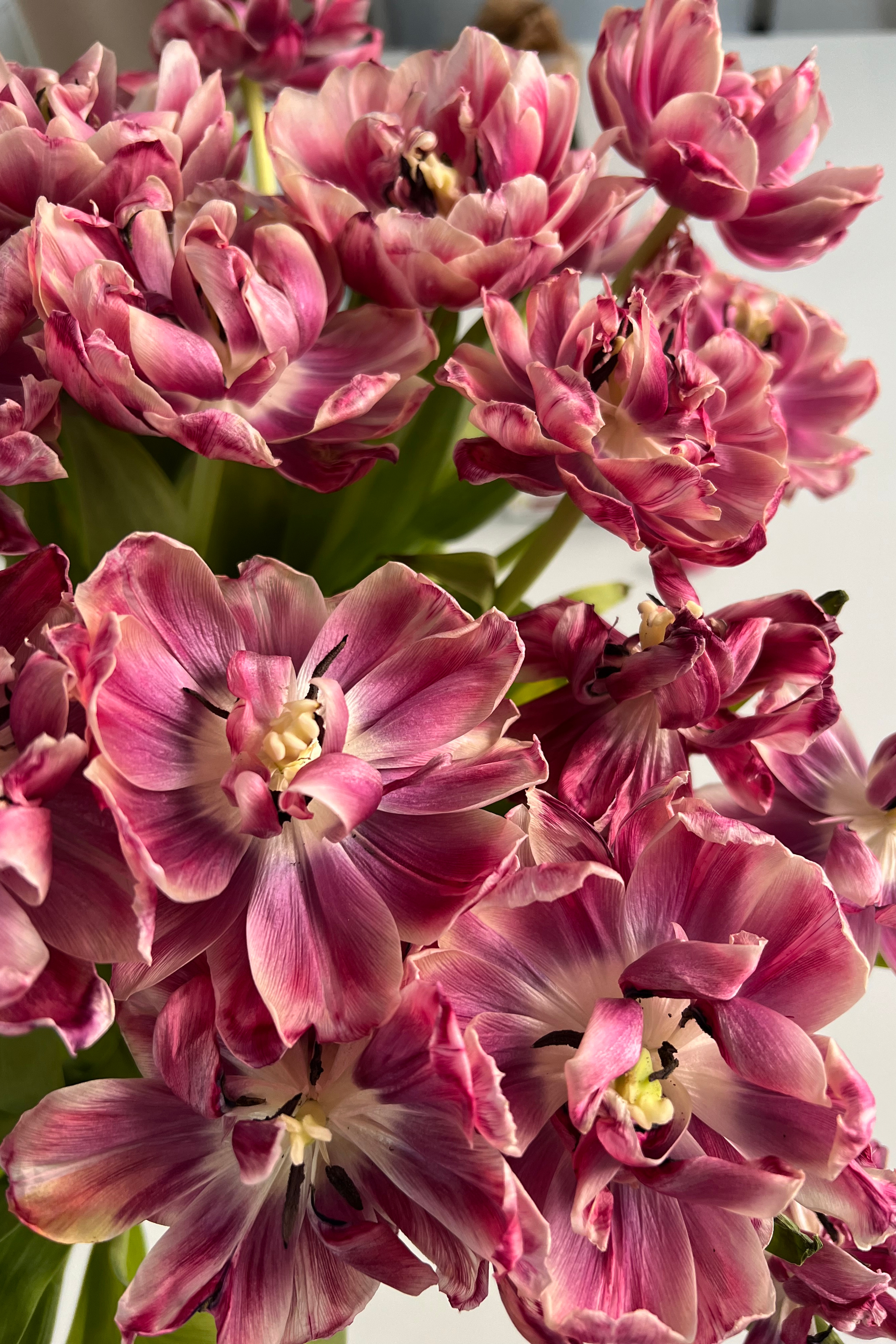 Feedback. Neugeborene, Baby und Familien Fotografie im Raum Neuss-Düsseldorf