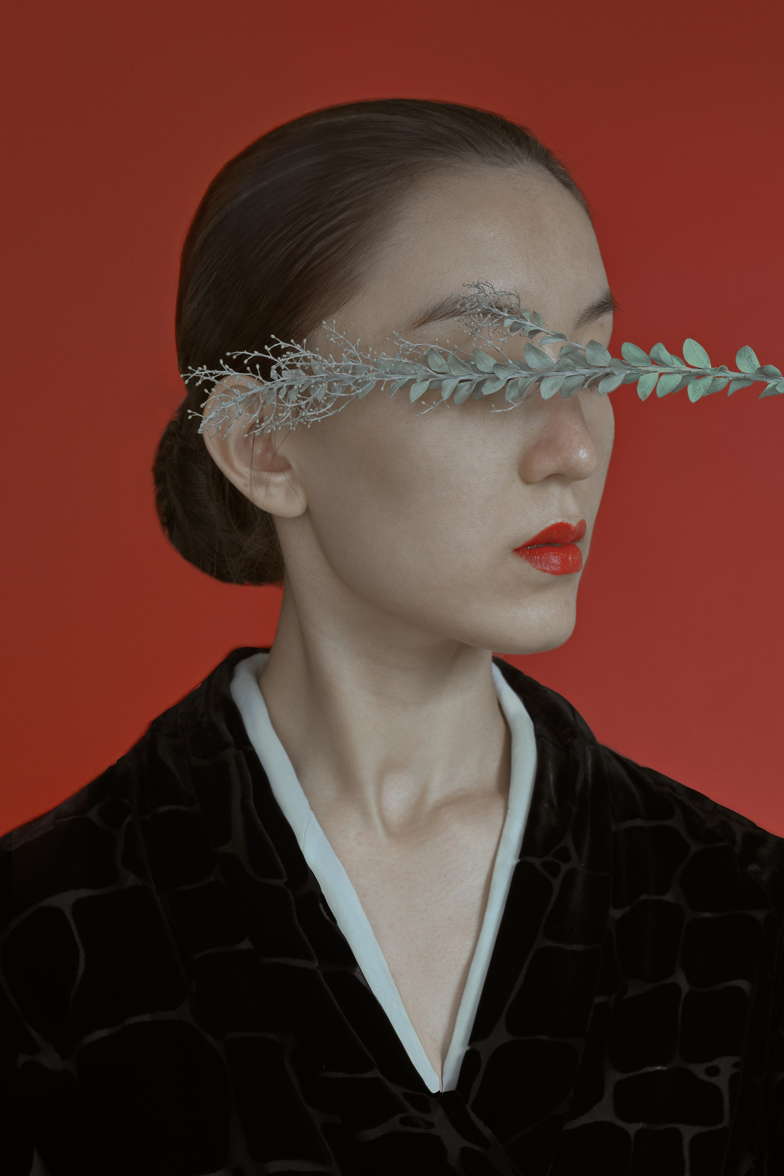 Japan. Maria Tulchinskaya — Conceptual Photography in California | Fine Art &