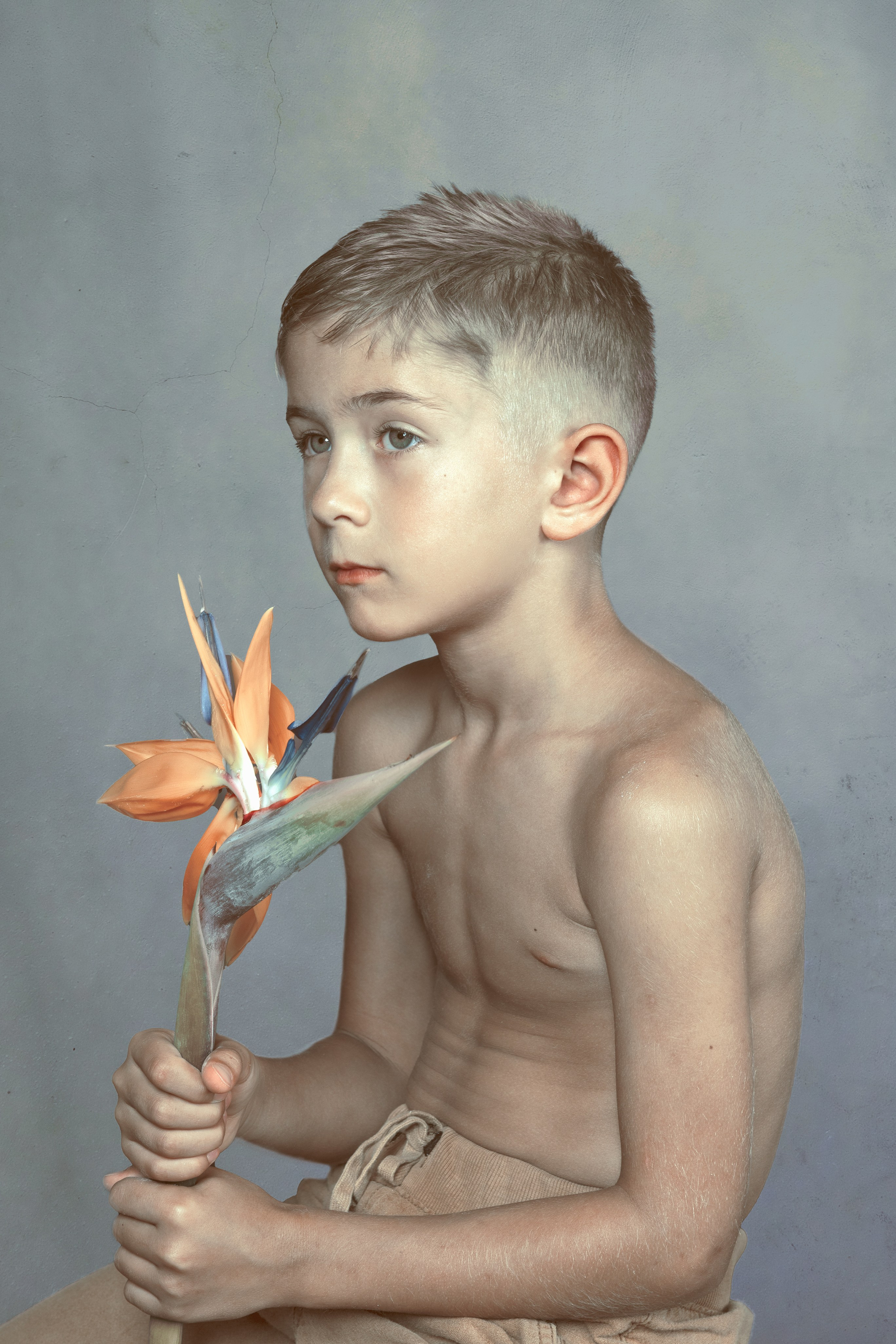 portrait photography child bird of paradise flower minimalist surreal calm introspective