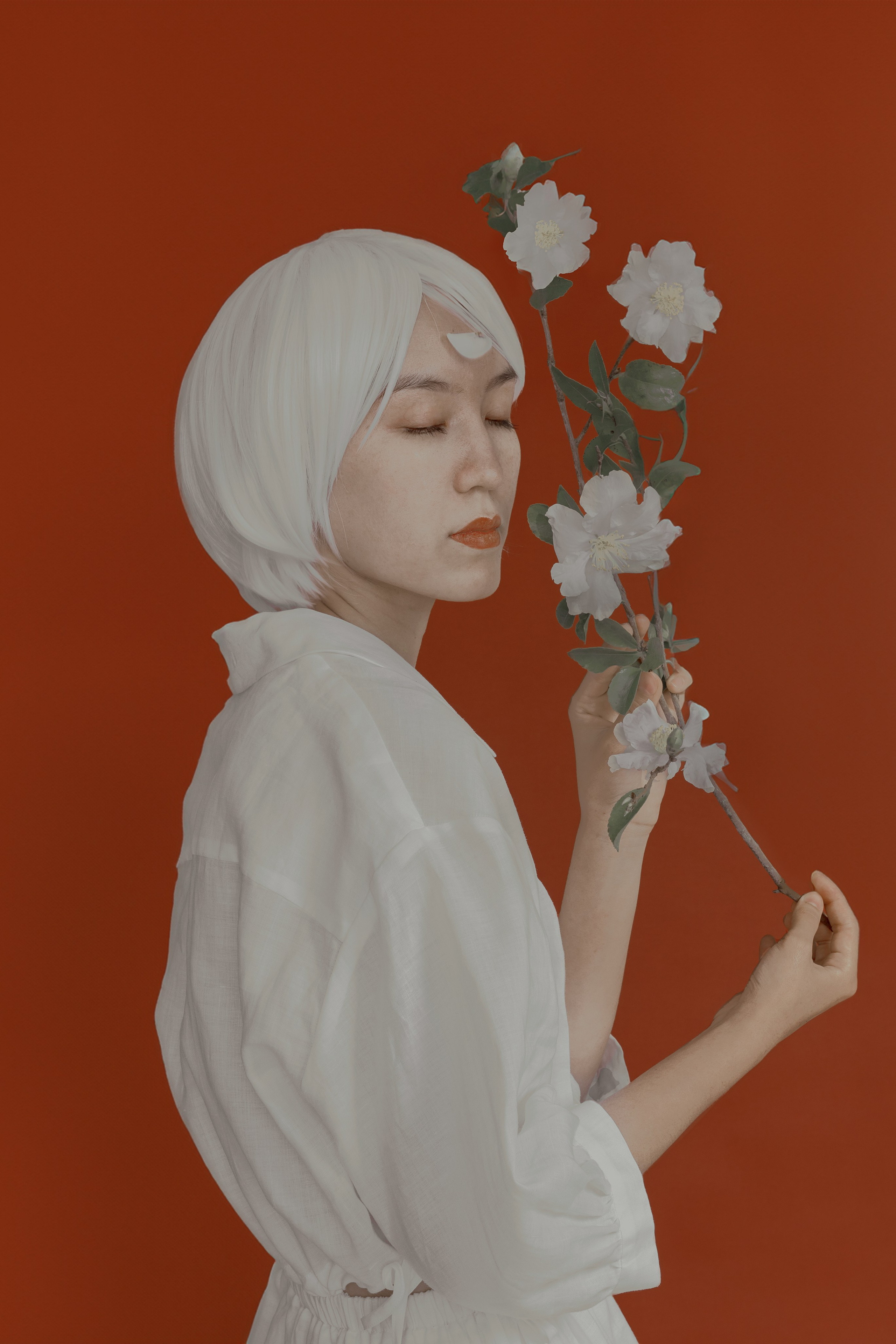 Japan. Maria Tulchinskaya — Conceptual Photography in California | Fine Art &