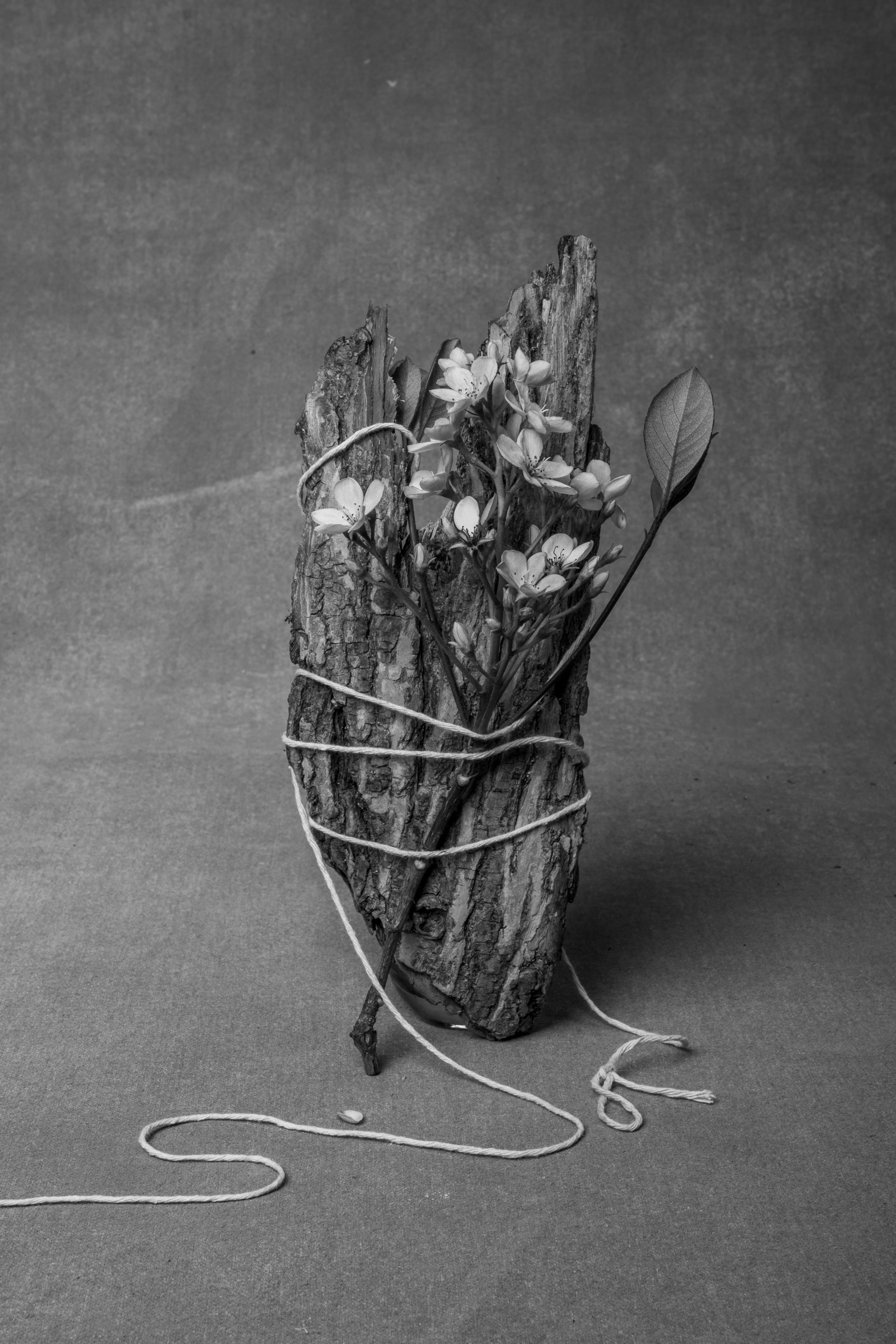 On one hand, the threads visualize connections - ties to homeland, family, culture, and traditions. They reflect the close bonds that may persist even when physically distant from one's roots. These threads serve as a reminder that, despite the distance, these connections remain with us and influence our lives in a new environment. They also symbolize the quest for new connections and relationships in the immigrant country, the creation of a new support network and friendships.