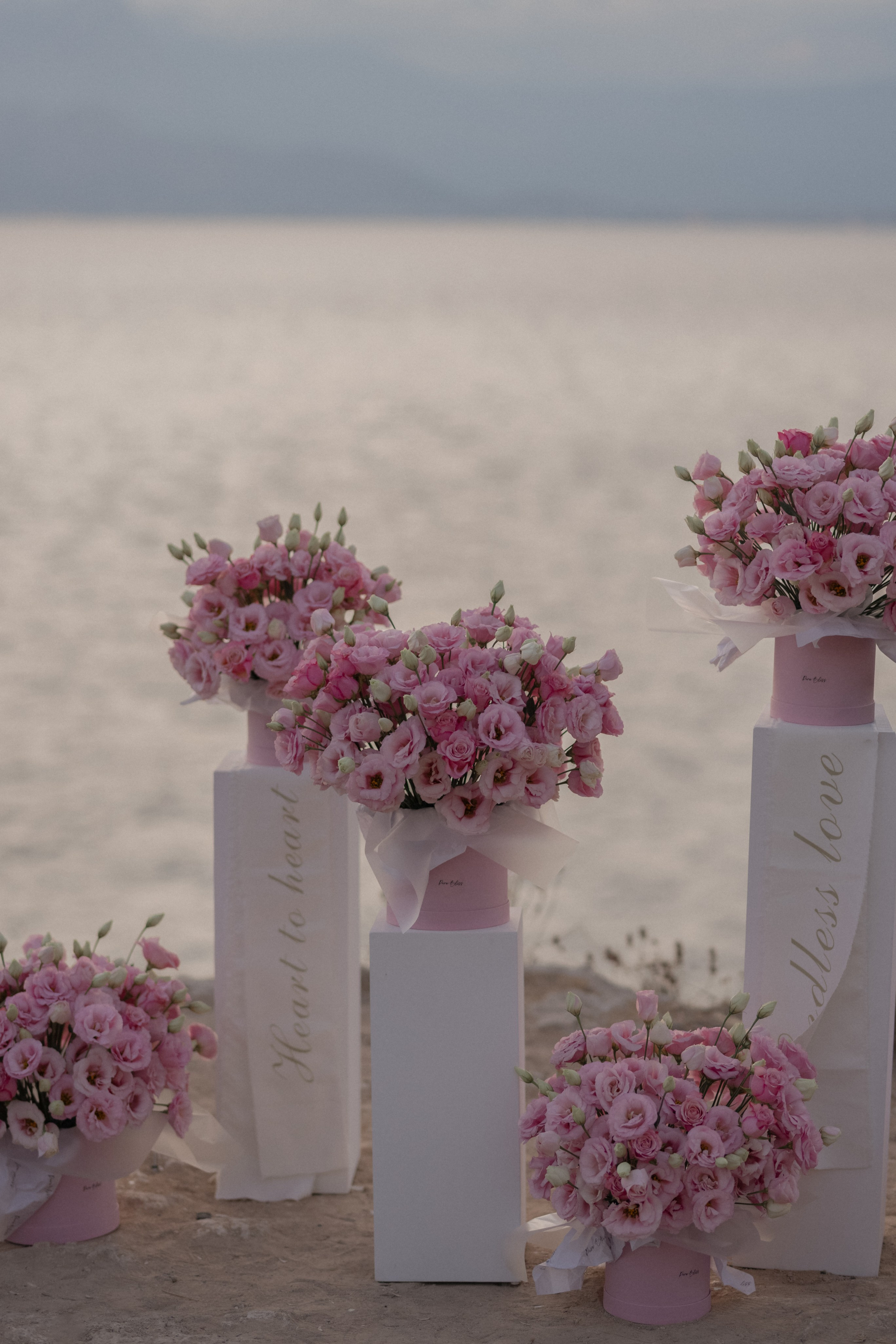 Идеи предложения руки и сердца или сюрприза. Wedding & Event Planner