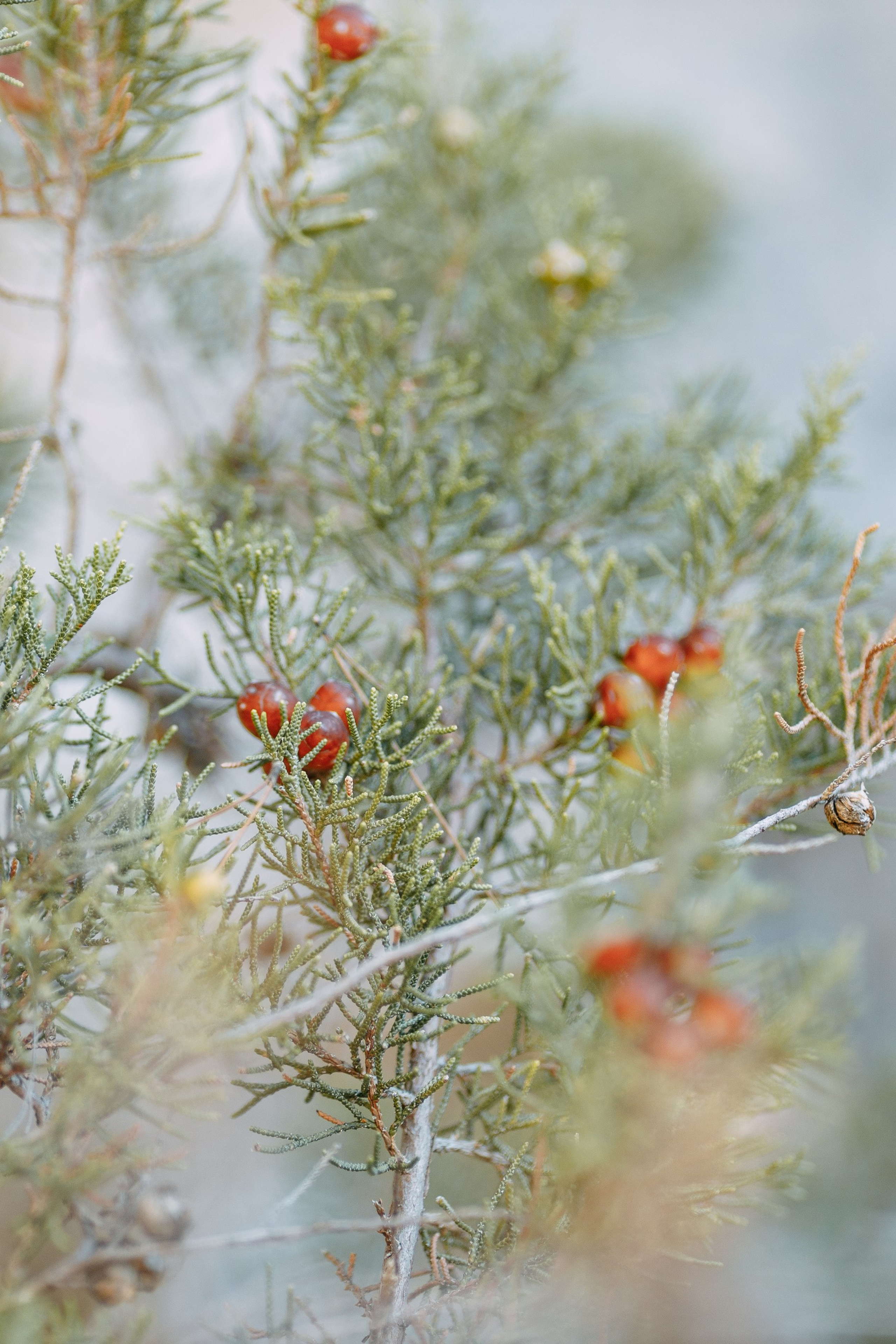 Blog. Professionele fotografin in Münsingen Olesia Wegele