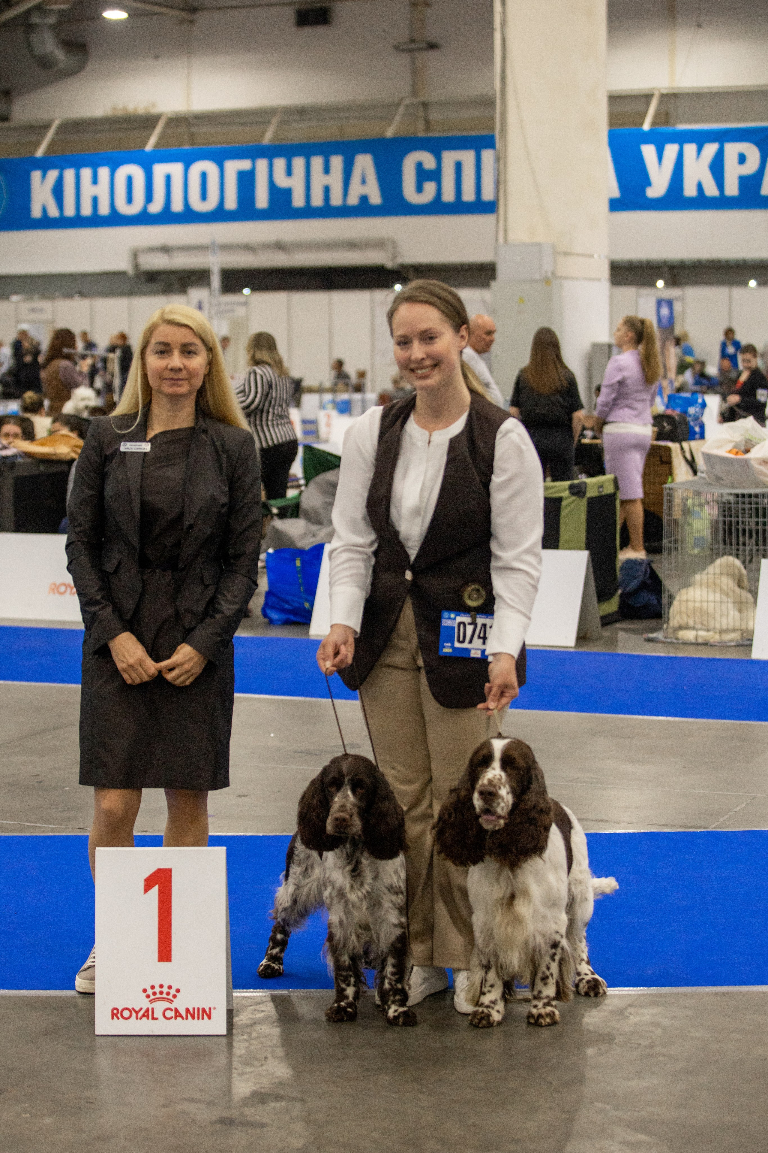 English Springer Spaniel show results WANDERLOVE JESSE JAMES. Website of the titled stud dog of the Springer Spaniel breed