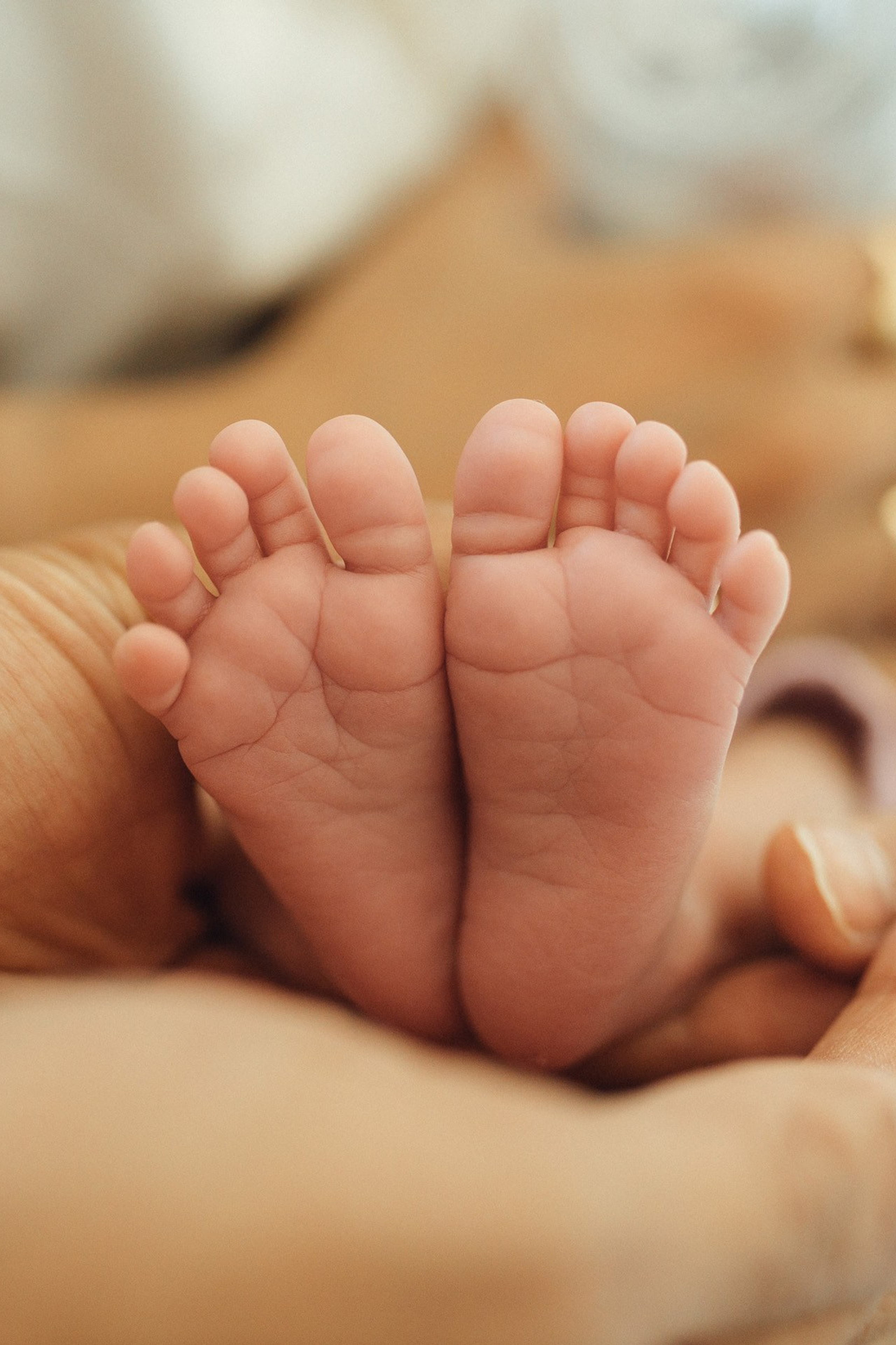 Maternity Studio Photo Session. Maternity, newborn photographer in the Bay Area|Iryna Rakivnenko