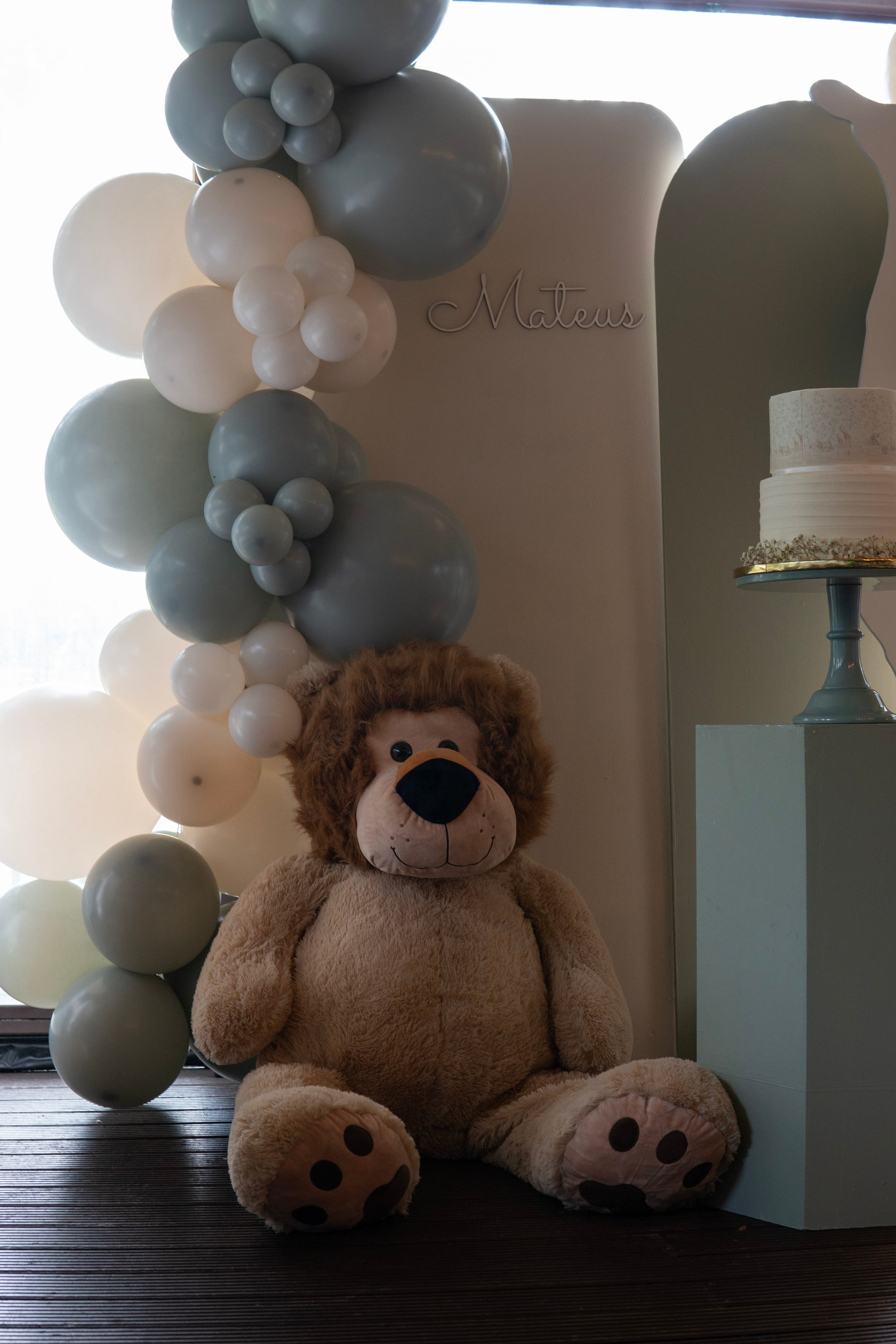 BATIZADO — MATEUS. MA Visuals — Fotografia e Vídeo