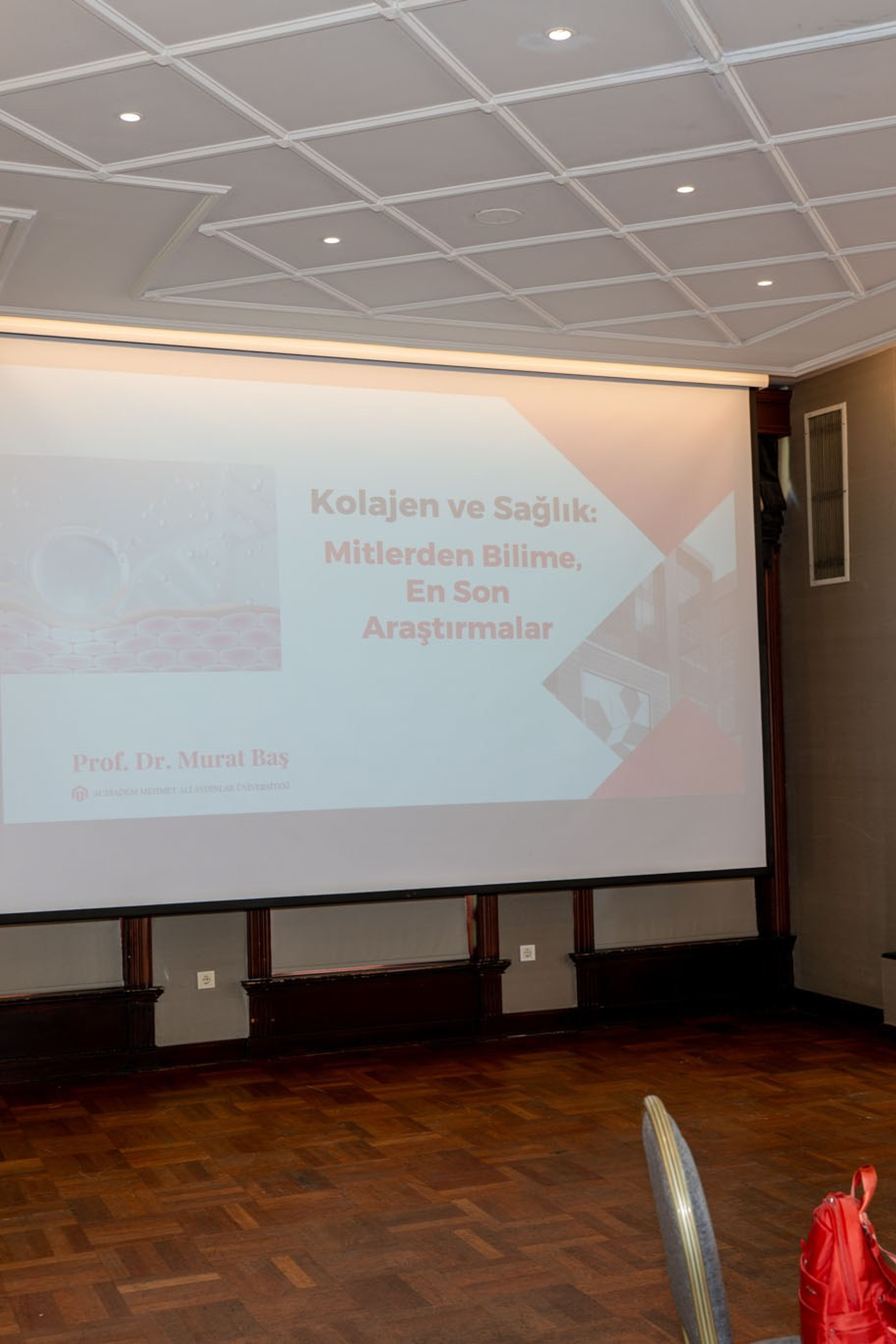 LIZ Conference. Kovalski Production