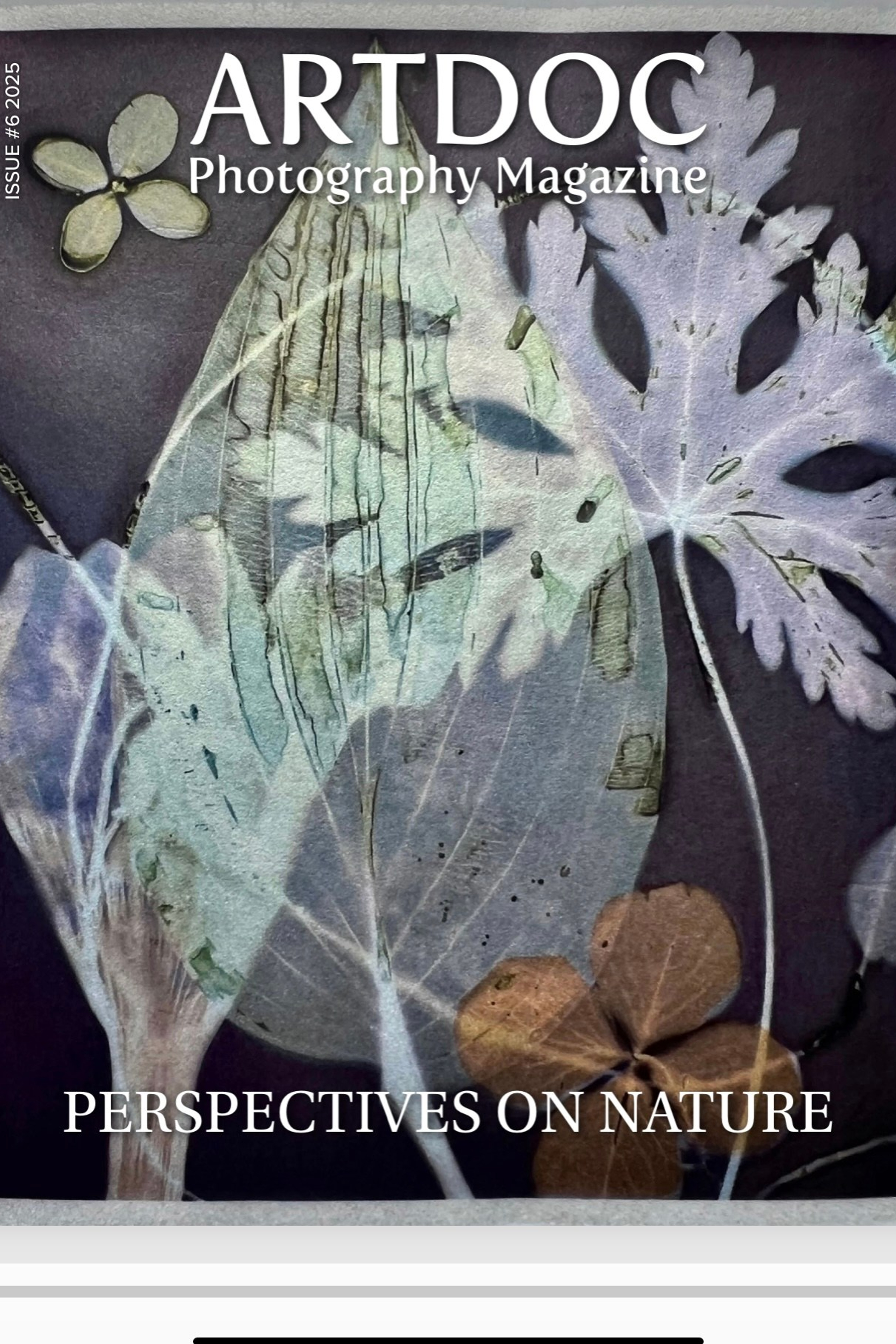 Ekaterina Tsurkina-Appina Photography Canada