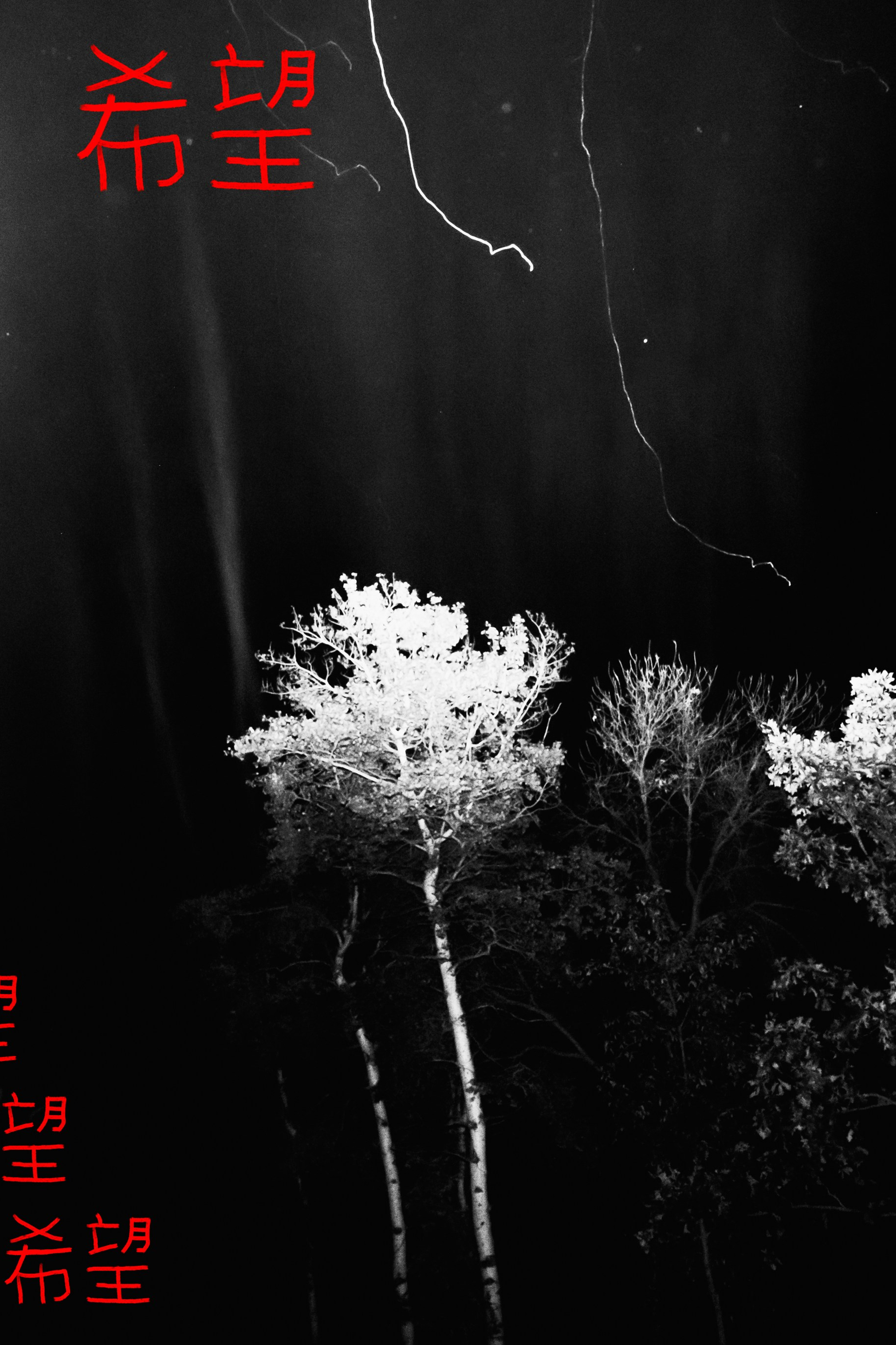 Ekaterina Tsurkina-Appina Photography Canada