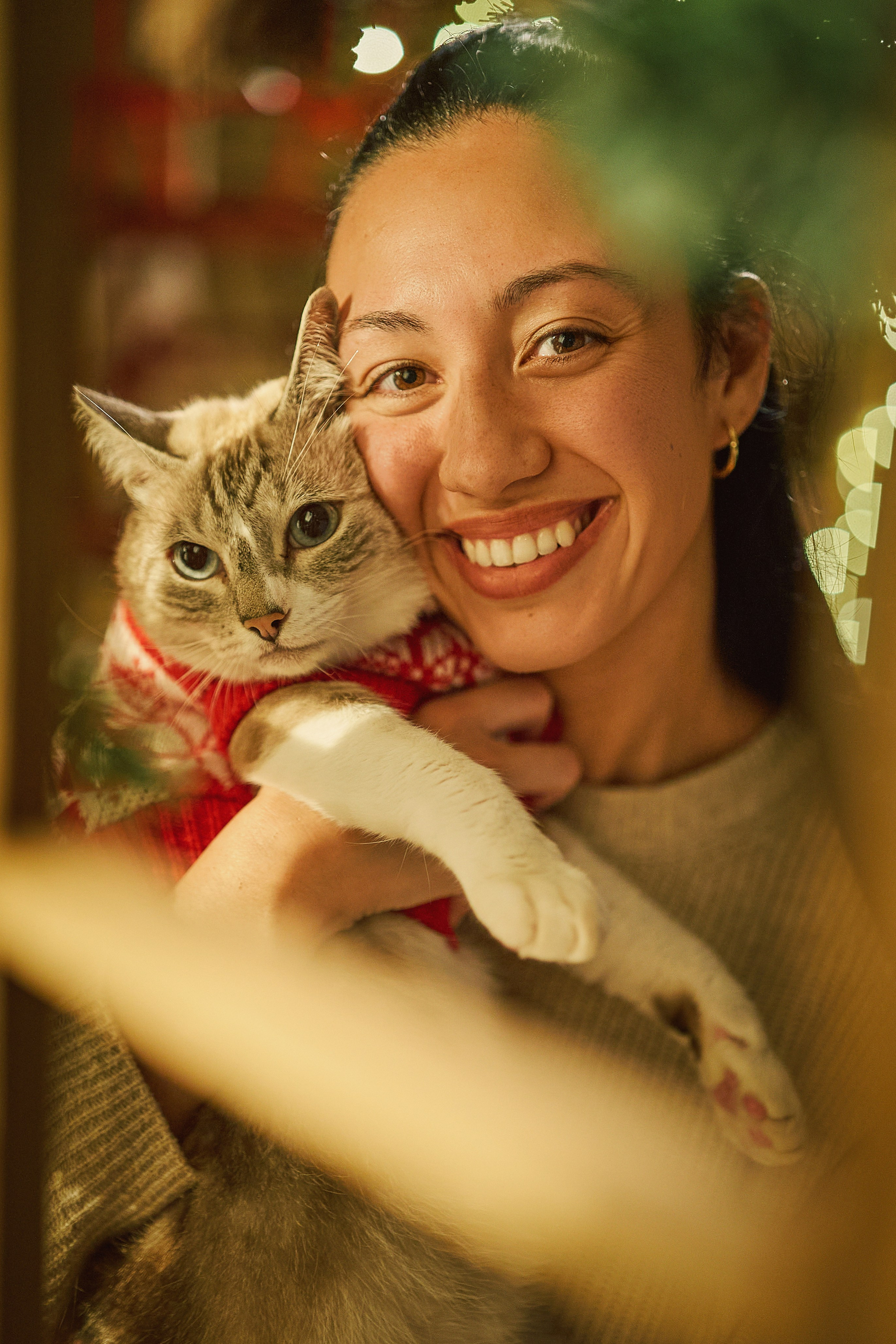 Retrato navideño de un gato