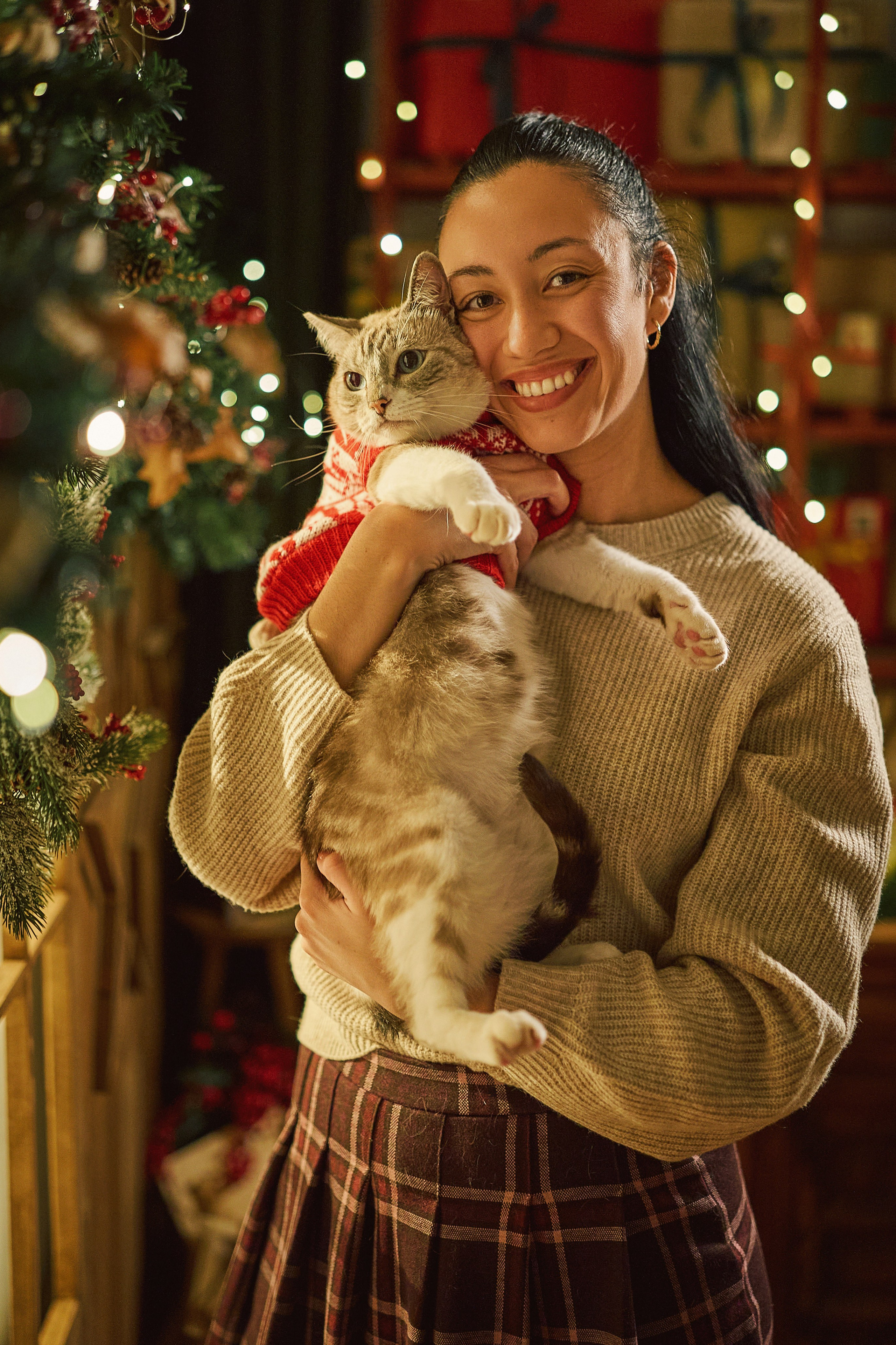 Gato posando en su sesión de Navidad