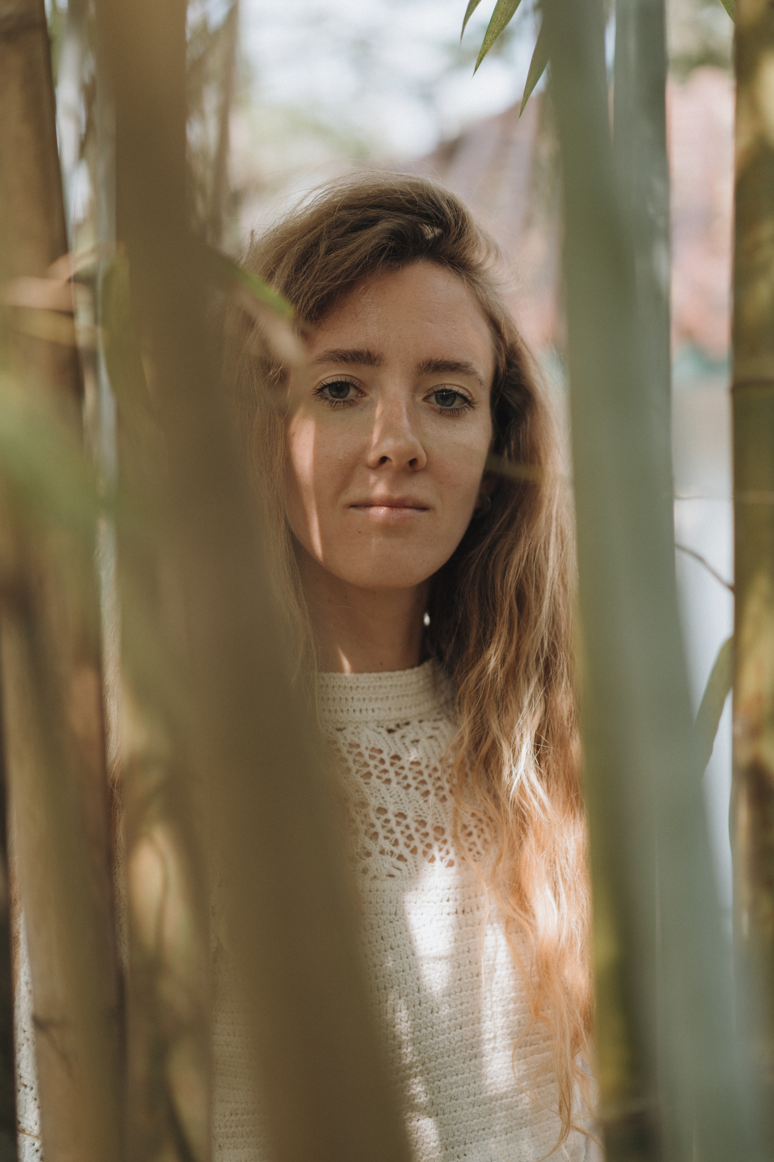 Kowloon Park in the Early Morning