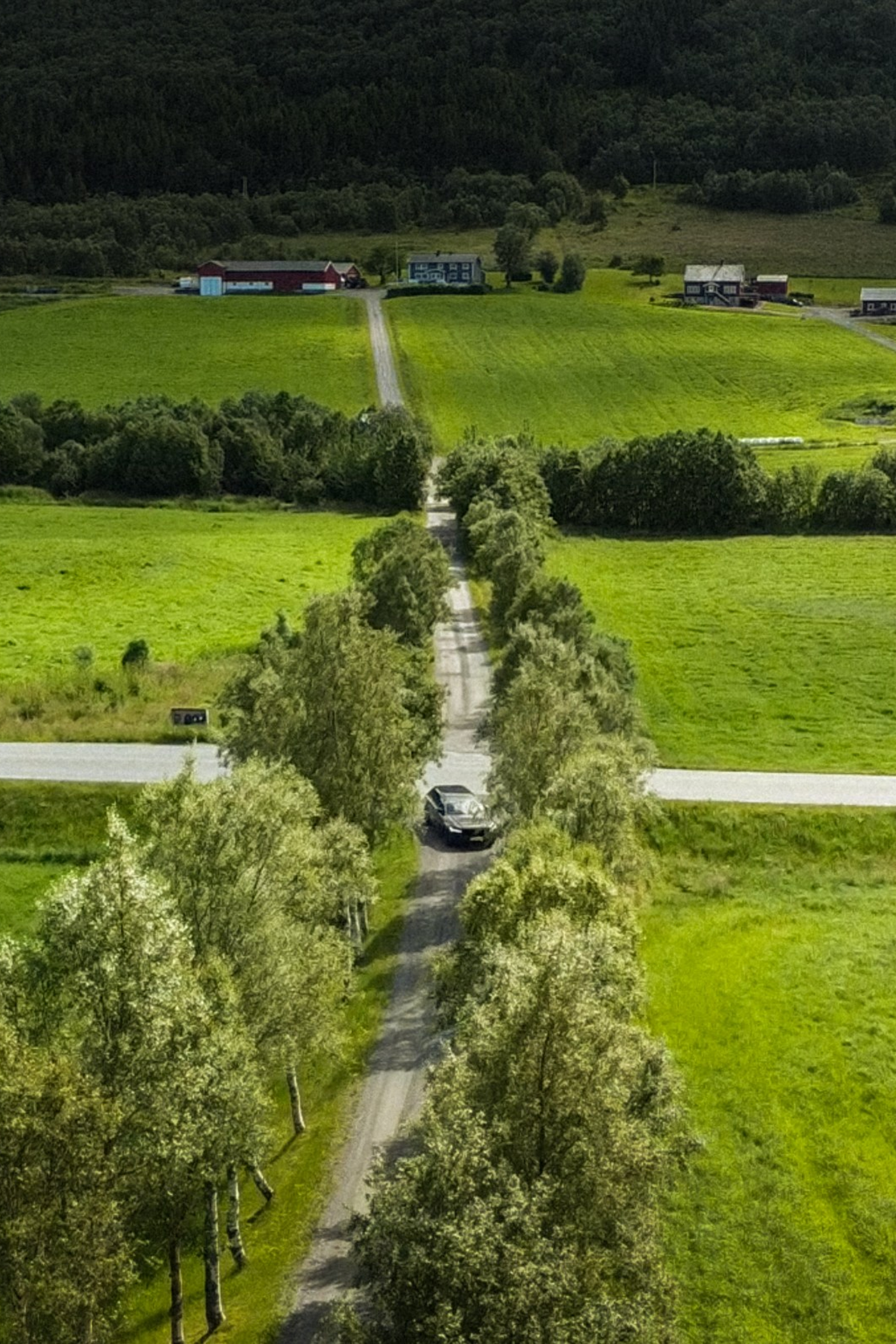 Stories. Bryllupsfotograf, videograf, Norge. Wedding photography, Norway