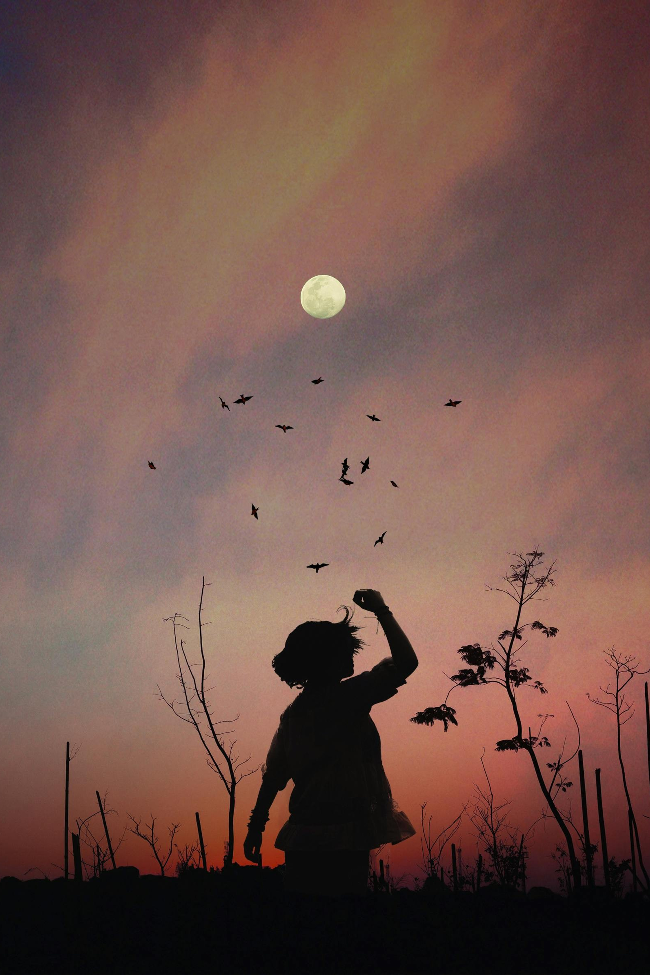 בלוג צילום. יותם שחר צילום ועריכה