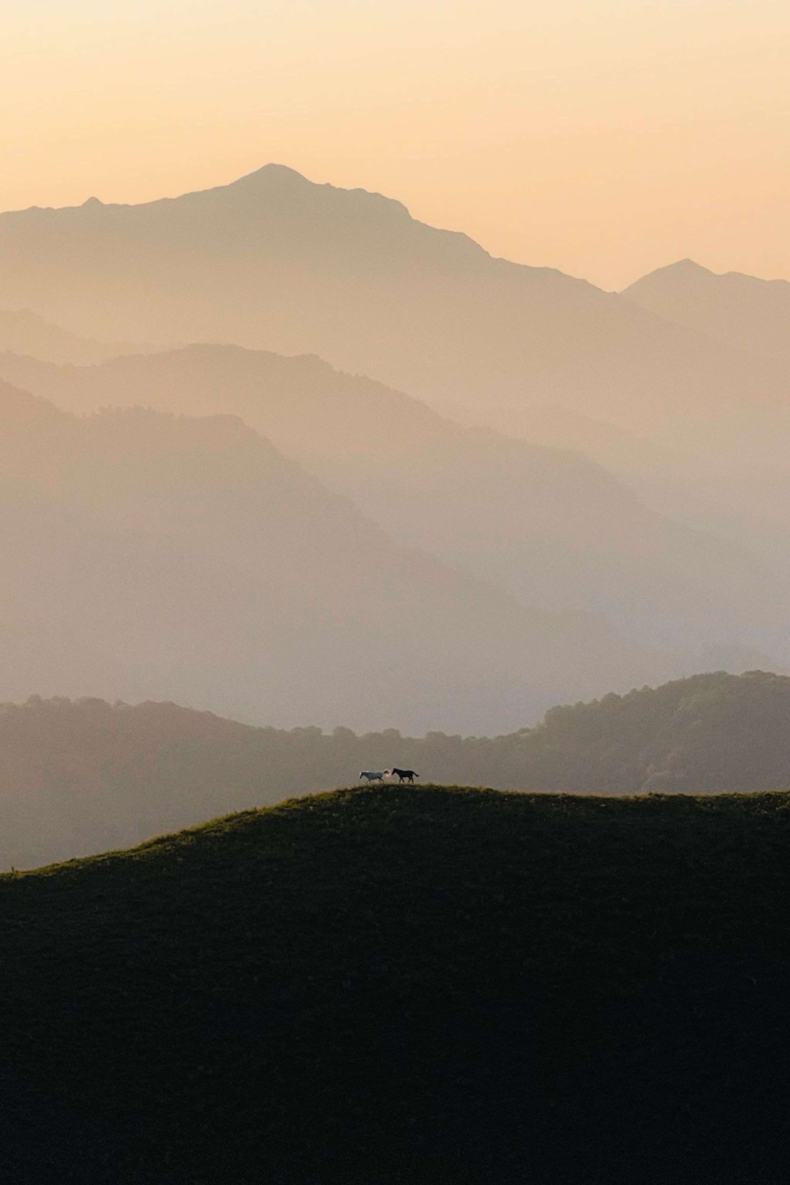 Sunrise light of Gudauri ski resort in the summer