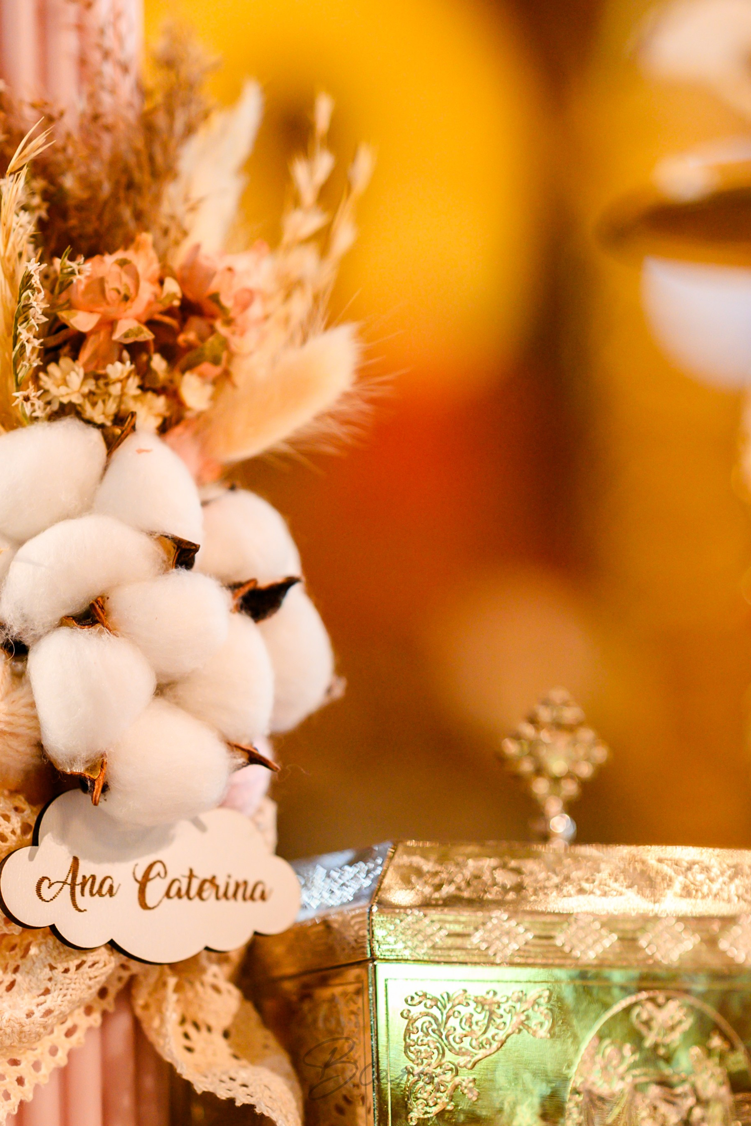 Ana Caterina. BCarp Productions