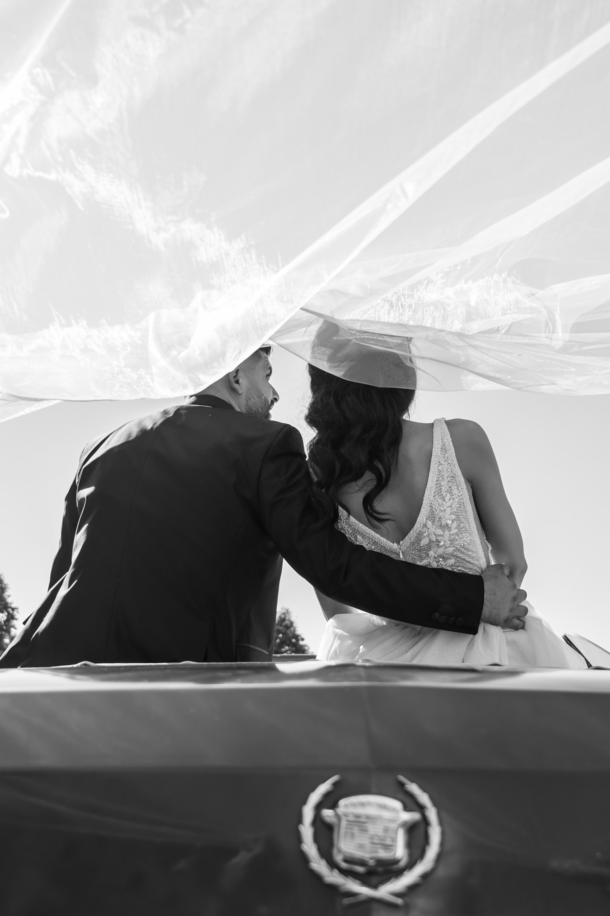 Roxana & Cosmin. BCarp Productions