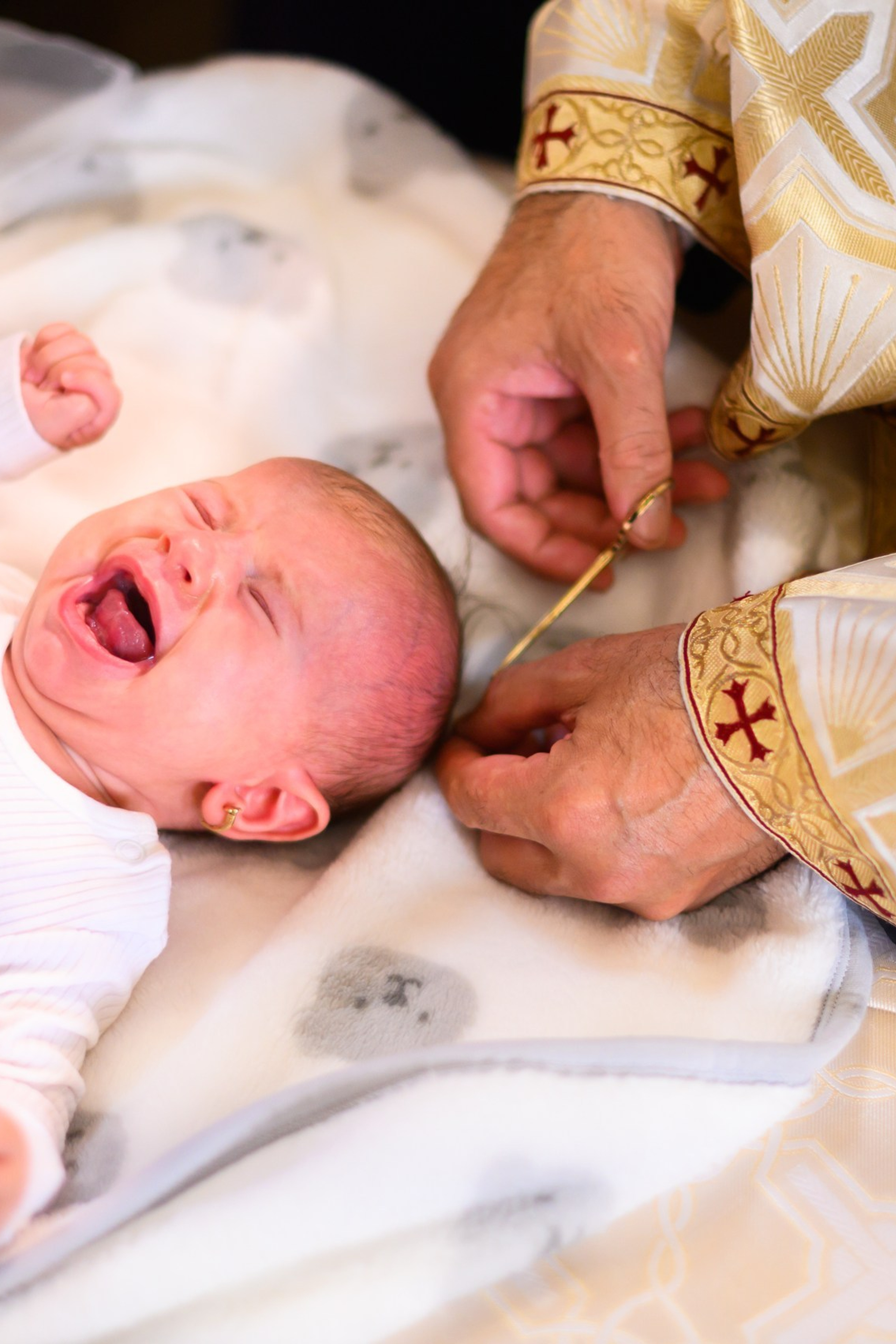 I. BCarp Productions