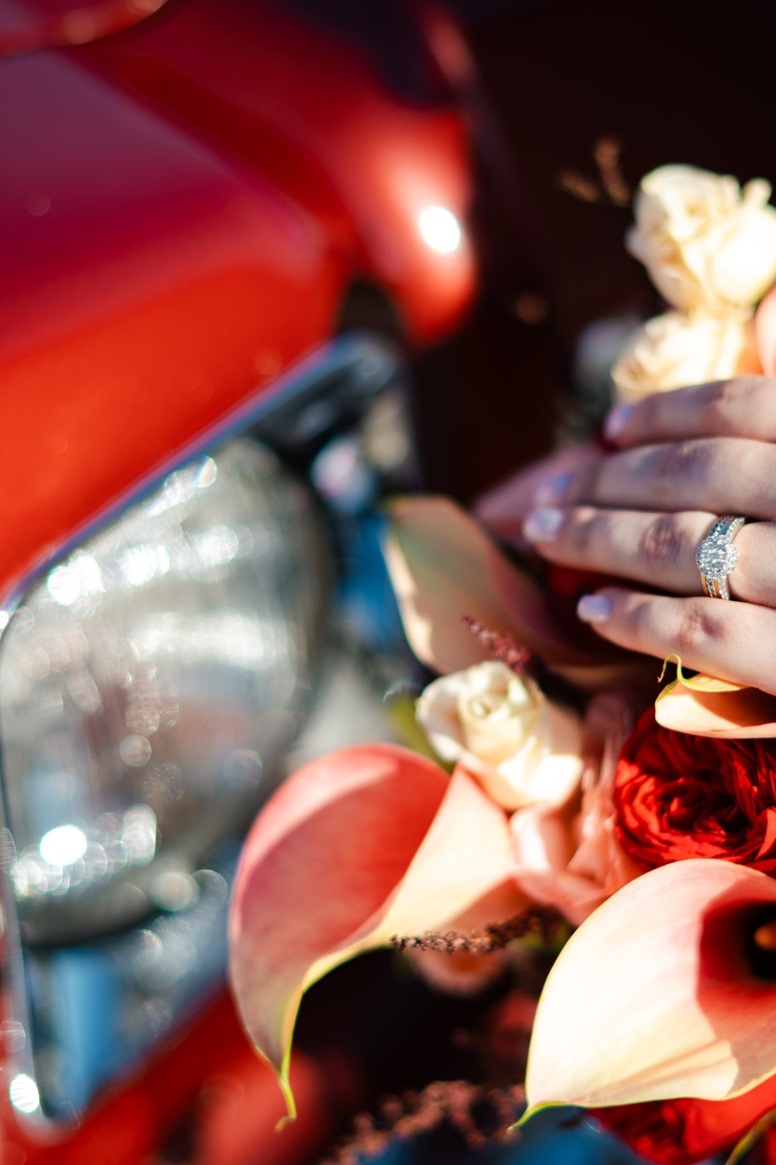 Raluca & Bogdan. BCarp Productions