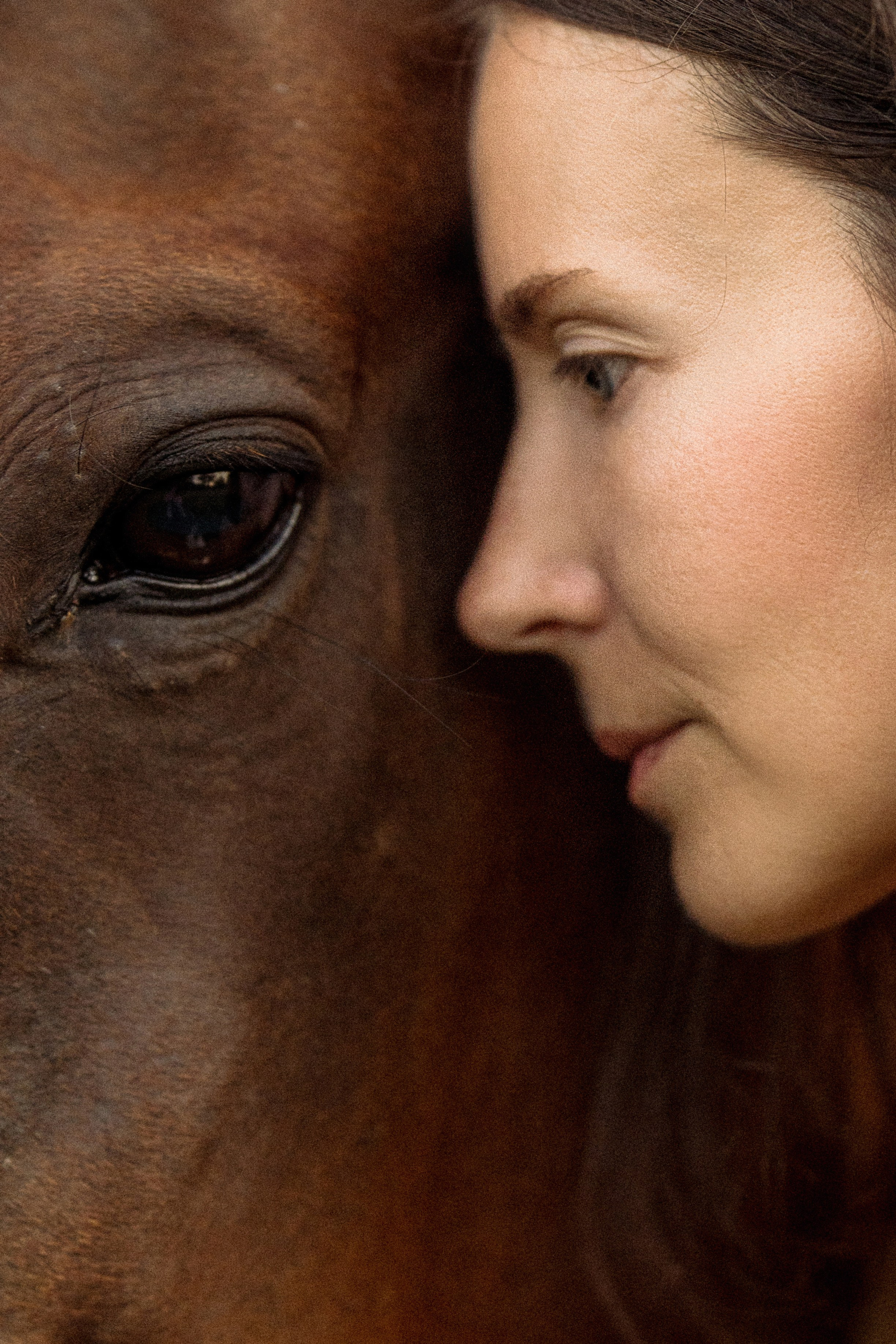 Marina&Teya. Horses