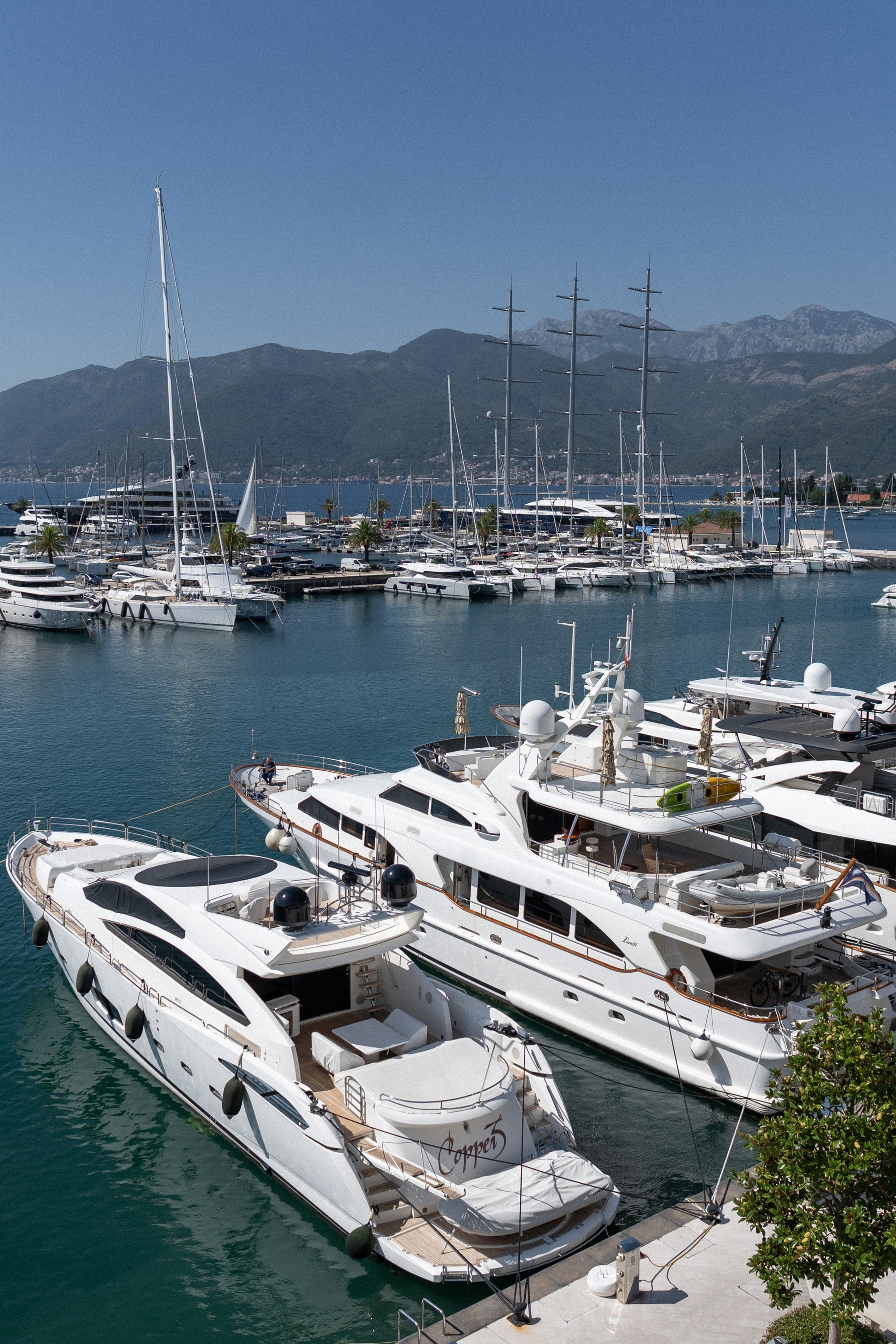 Photographer reviews