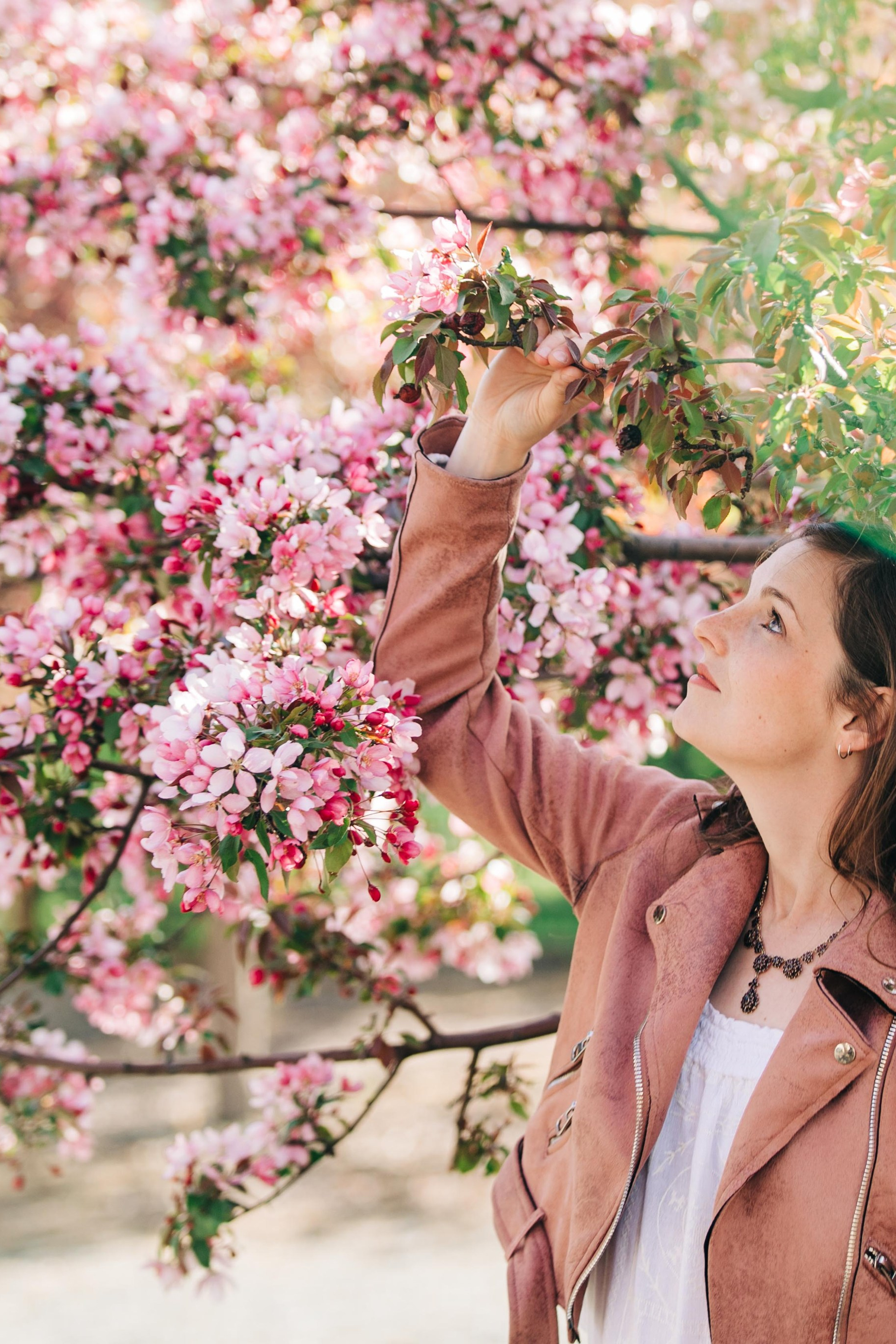 Cherry Blossom — Kelsey