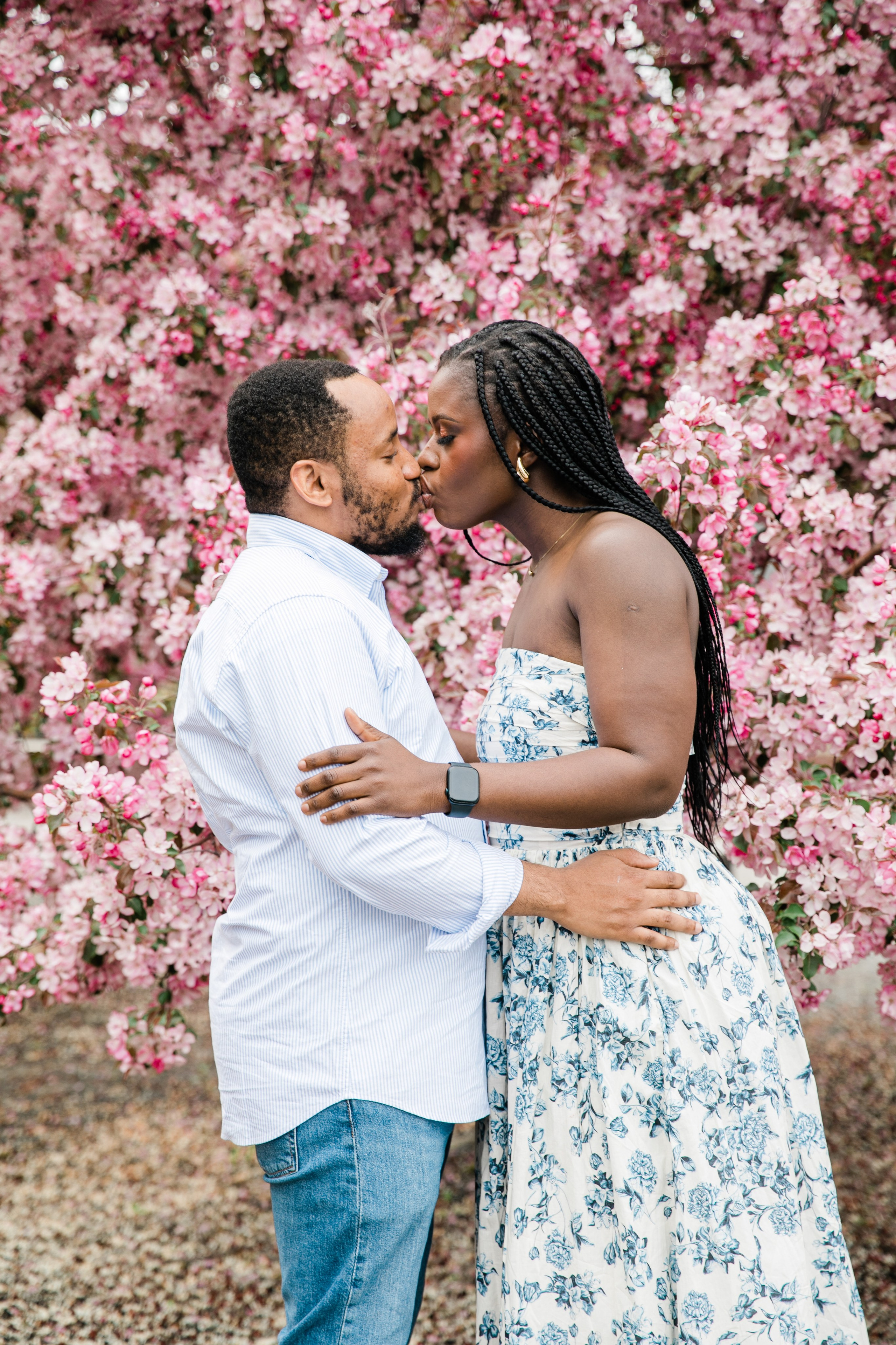 Cherry Blossom — Ester Family