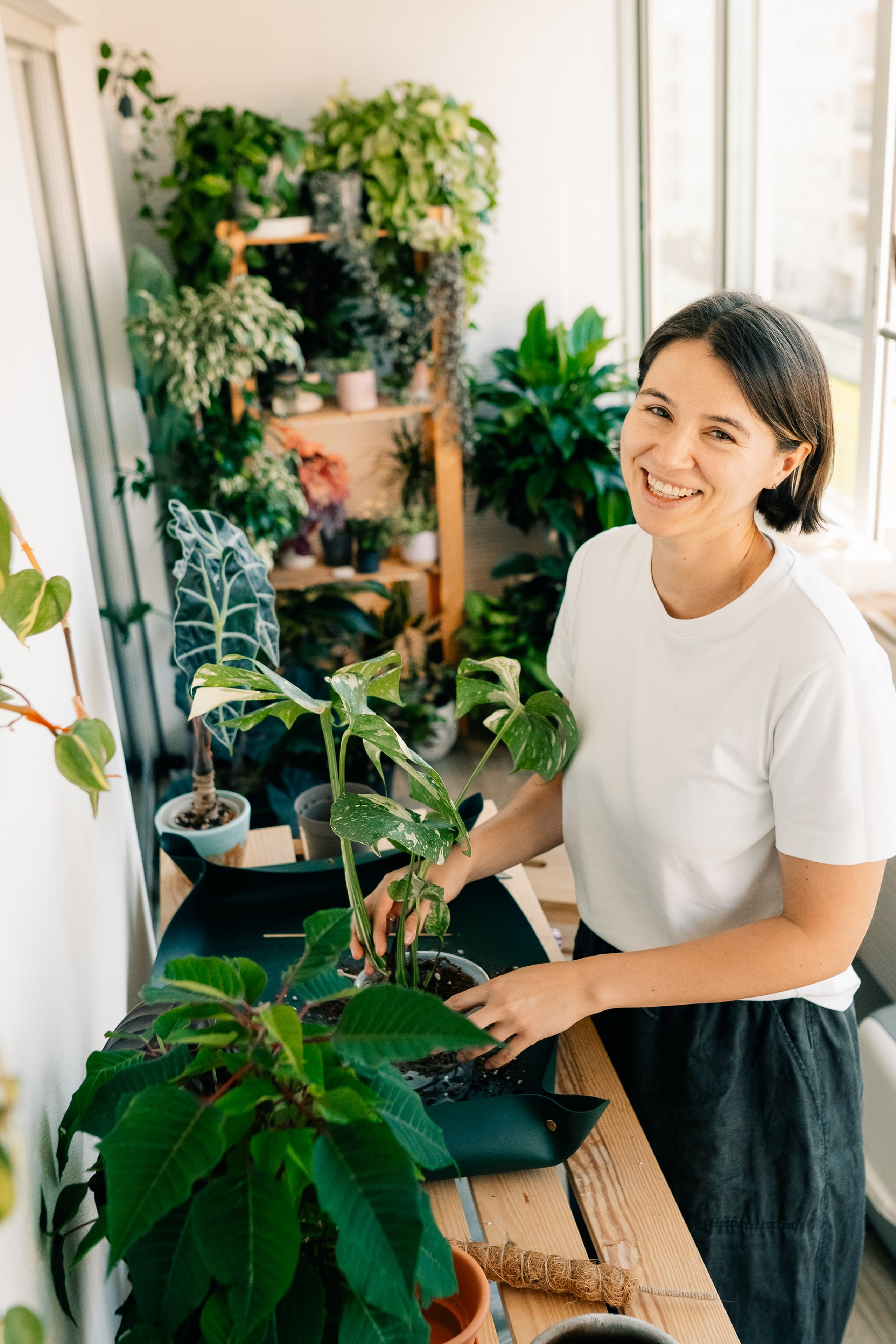 No&nbsp;Drama Plants