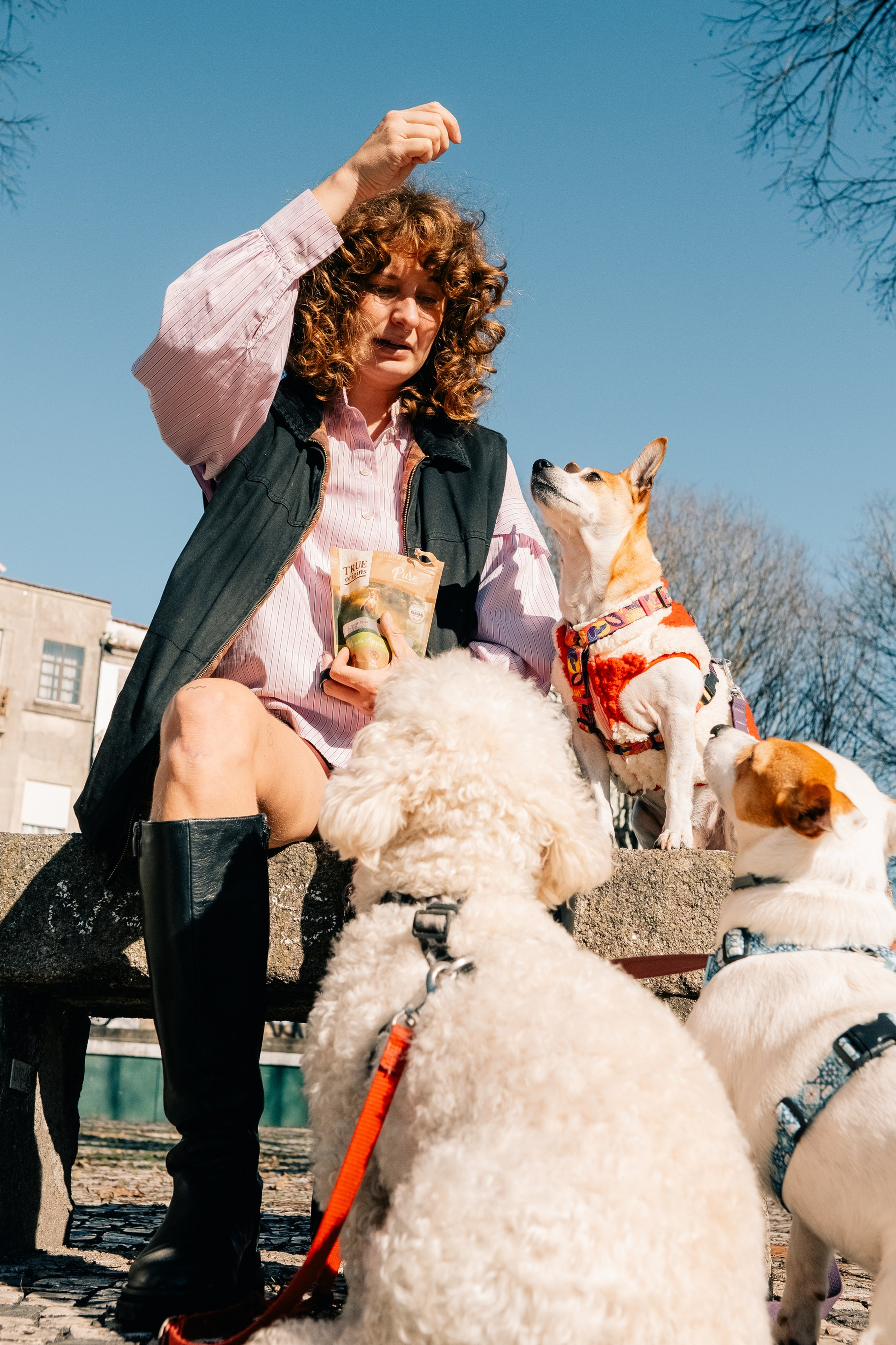 Yana & Doggos in Bonfim