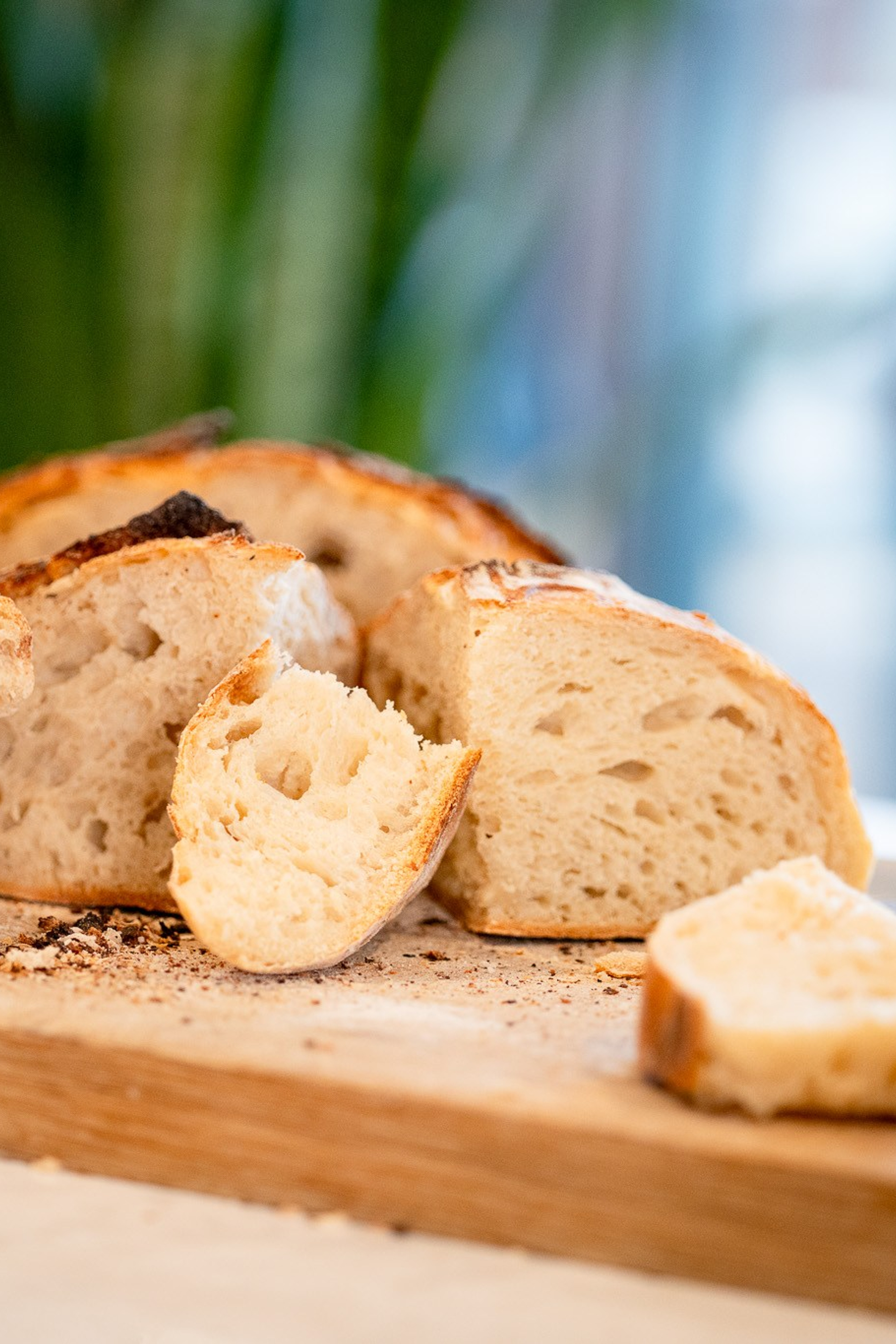 The Path of Yeast Resistance