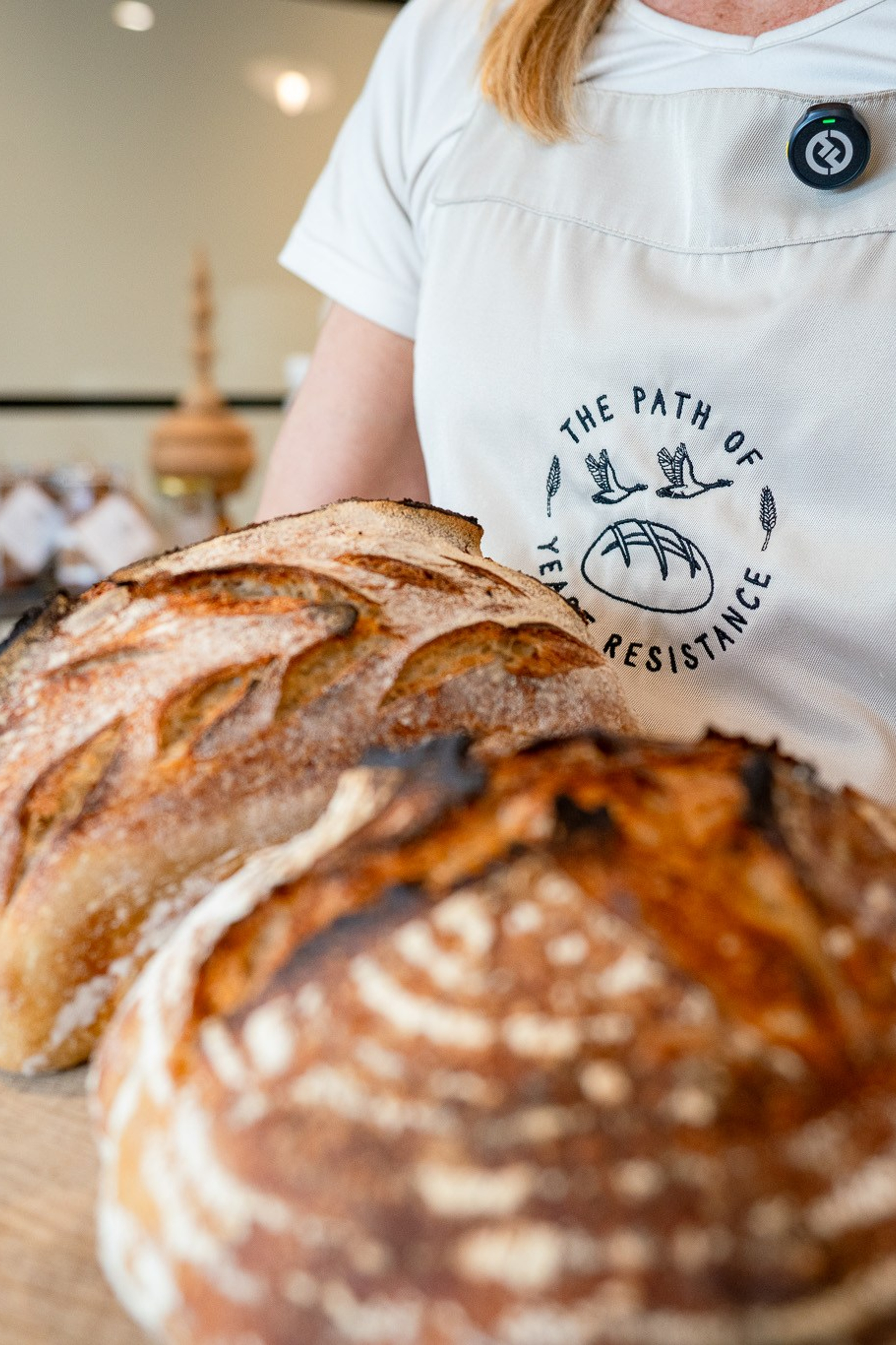 The Path of Yeast Resistance