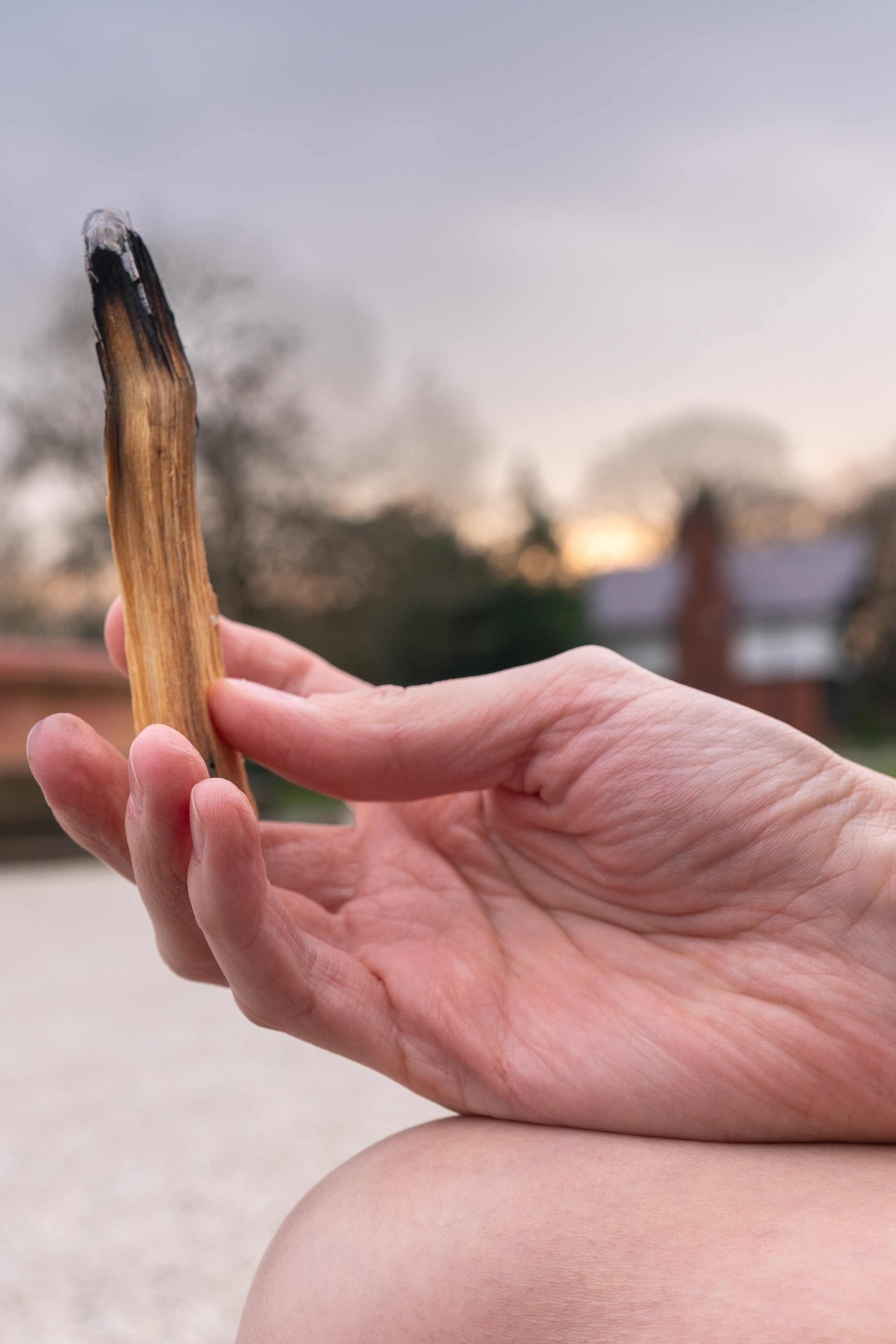 ANNA NAZINA YOGA MASTER