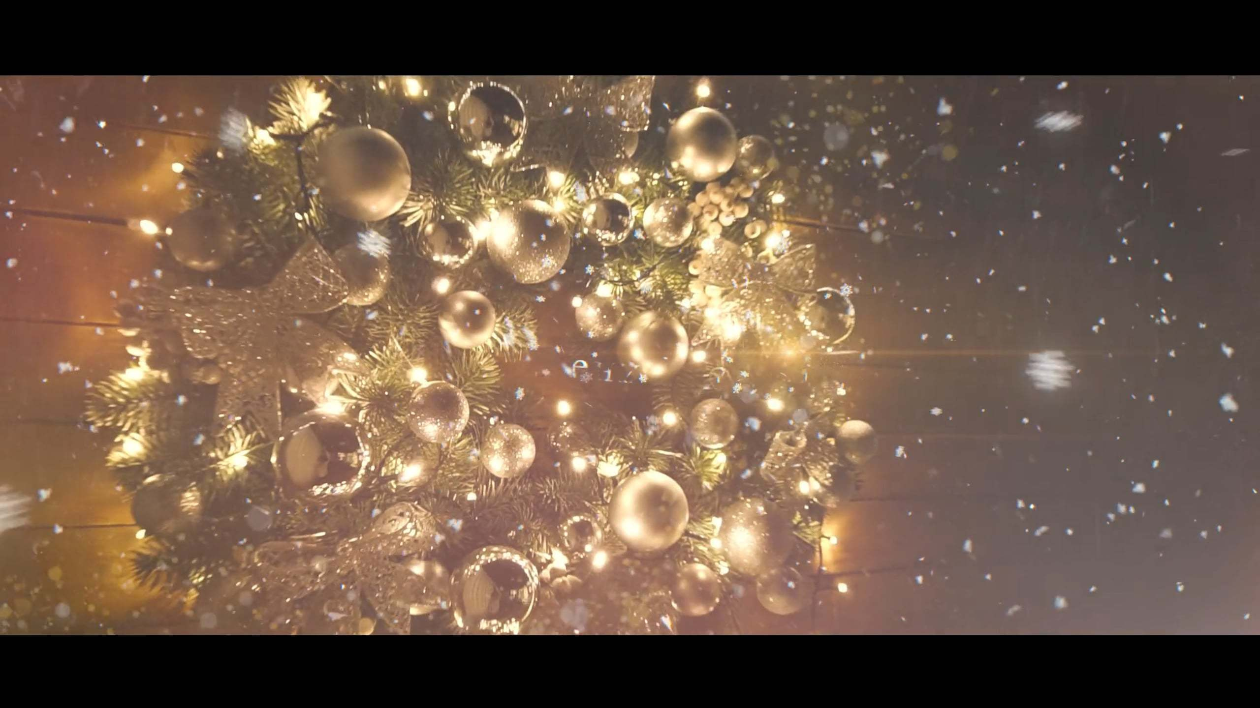 Evghenii & Diana. Фото видео в молдове