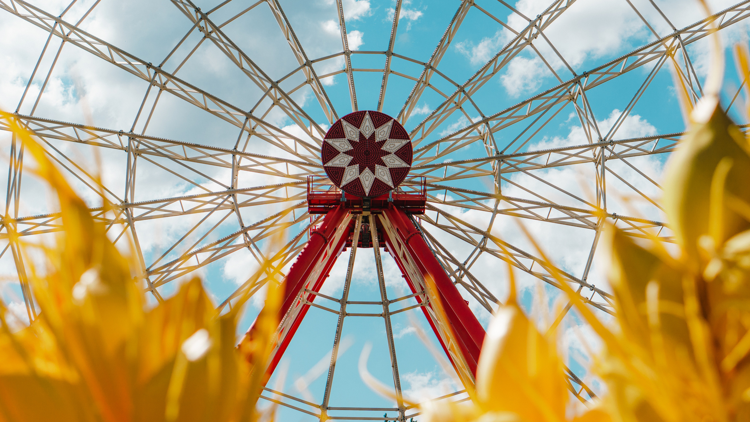 Ивана Купала в Центральном парке