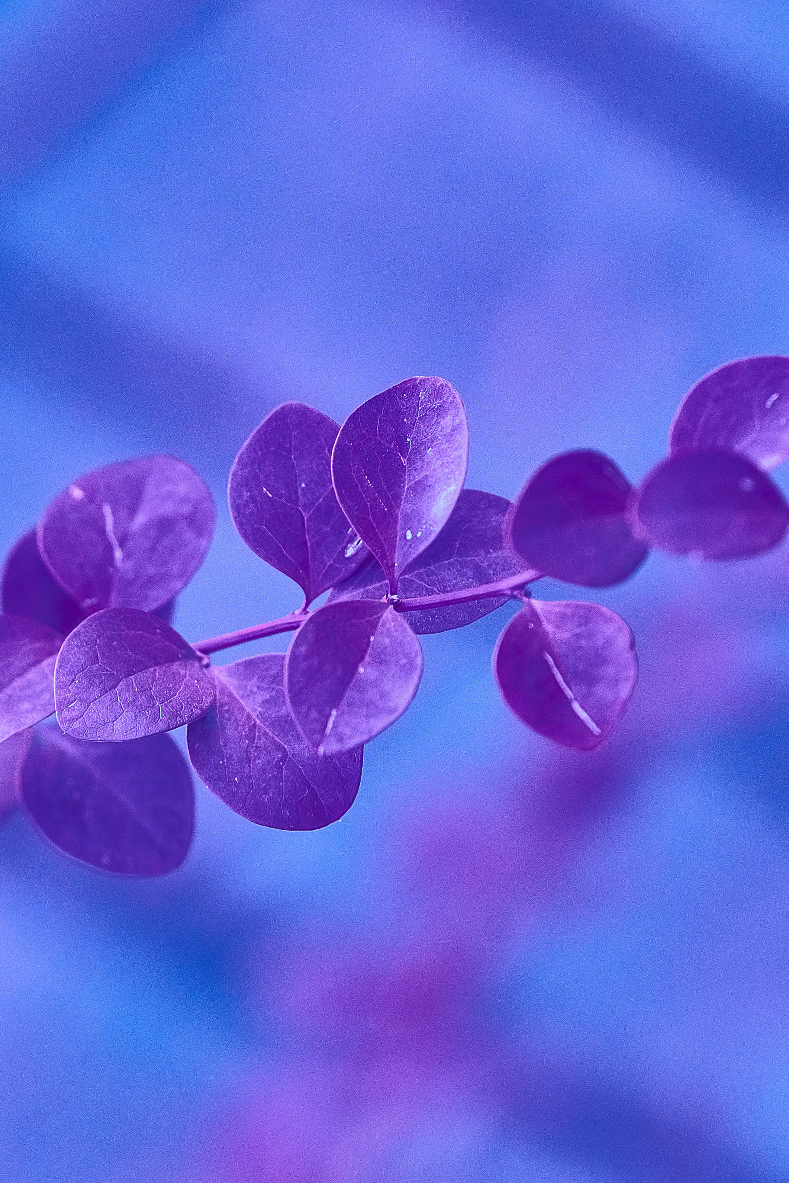 Отзывы, Фотограф Халемонец Андрей в Кривой Рог Днепр Украина. Профессиональный Фотограф Халемонец Андрей в Кривой Рог Днепр Украина