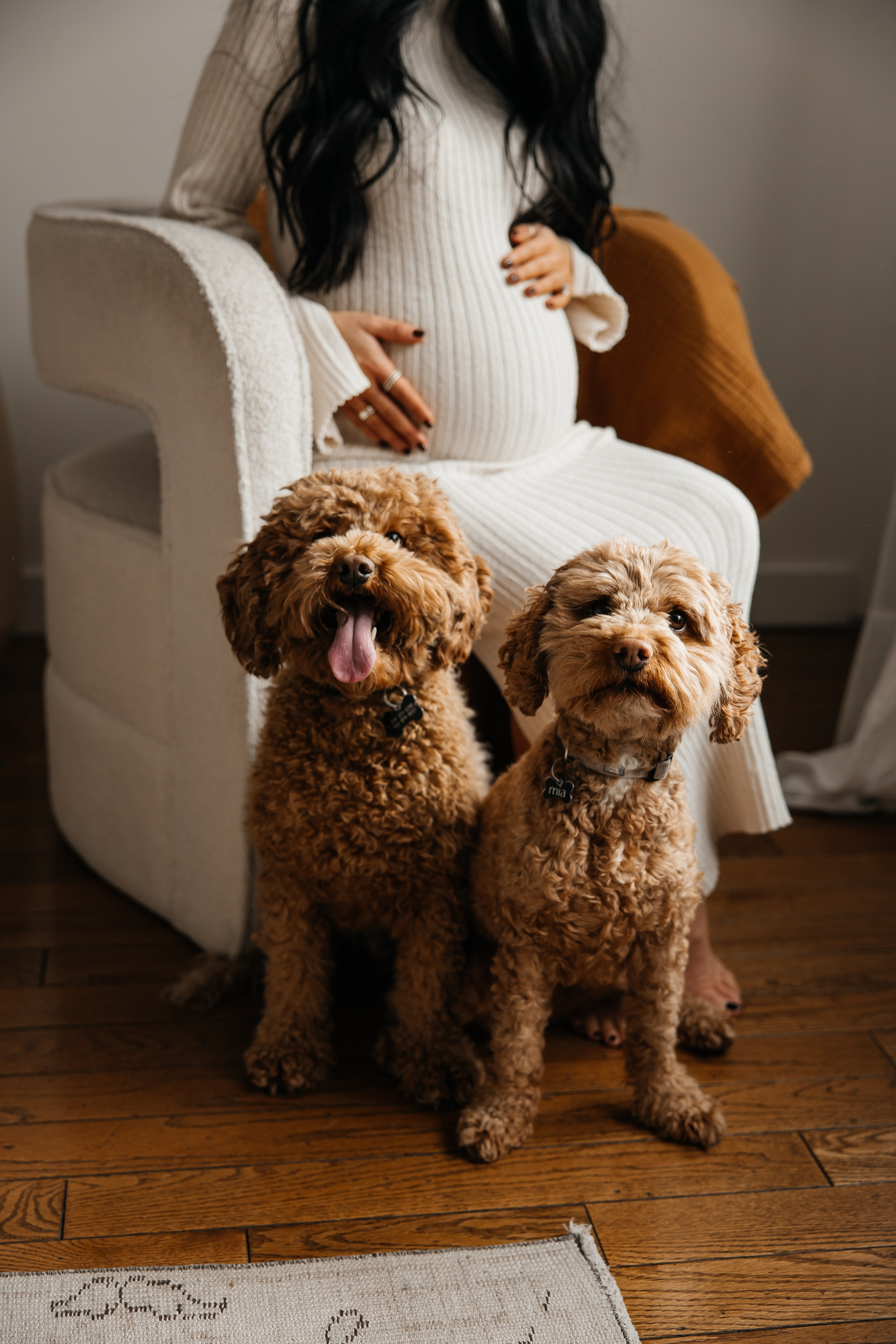 Maternity+2 cute dogs