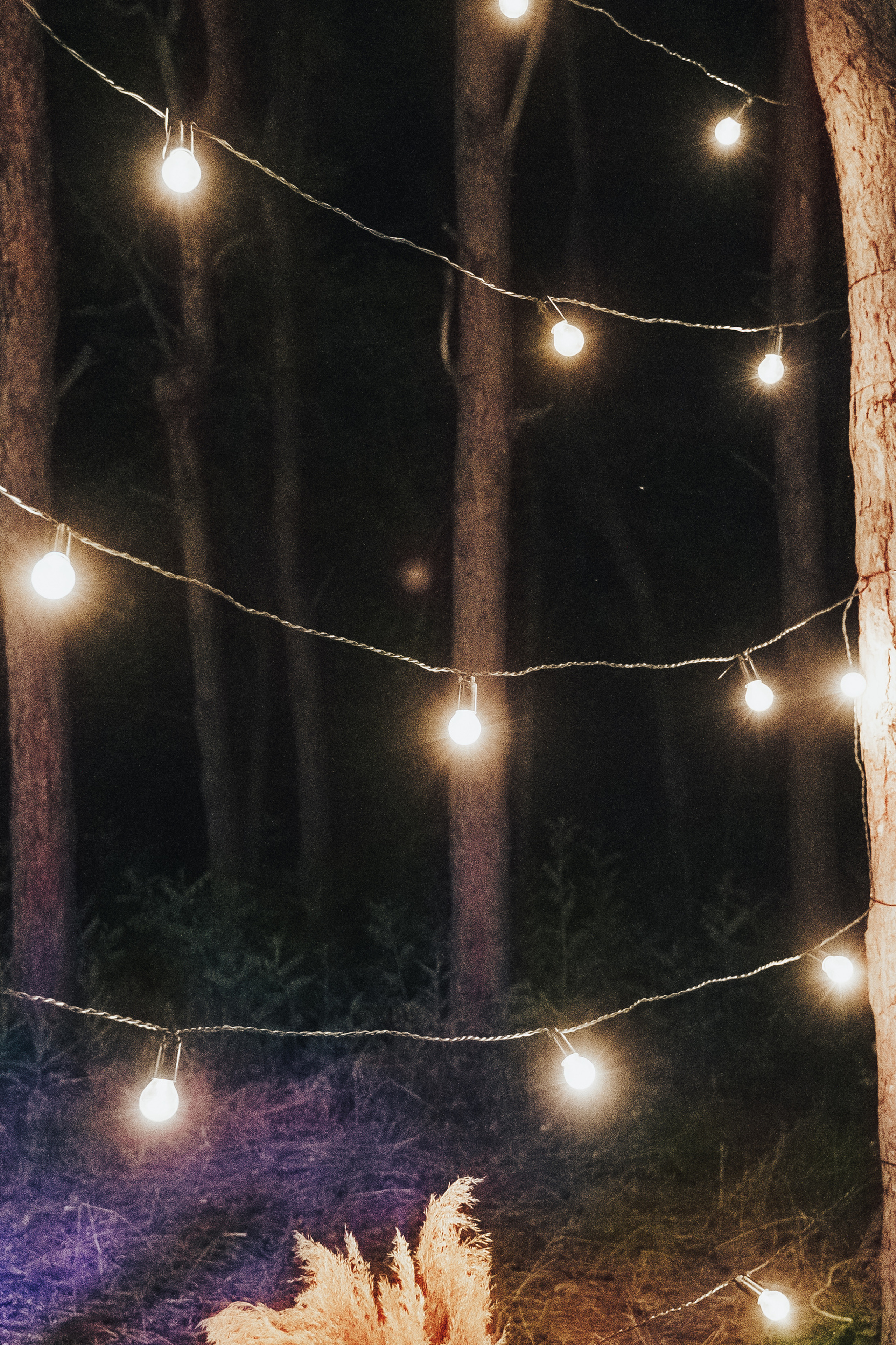 Forest wedding. Maria and Oleksandr. Photographer in London Daria Agafonova