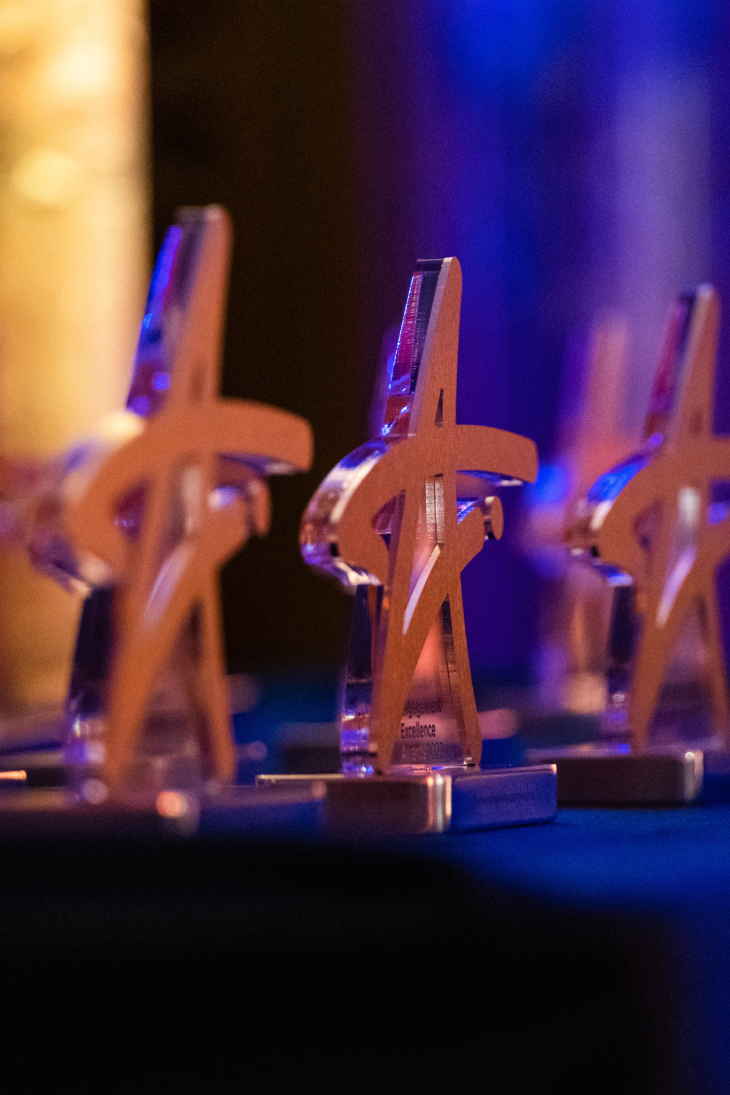 Engagement Excellence Awards. London. Photographer in London Daria Agafonova