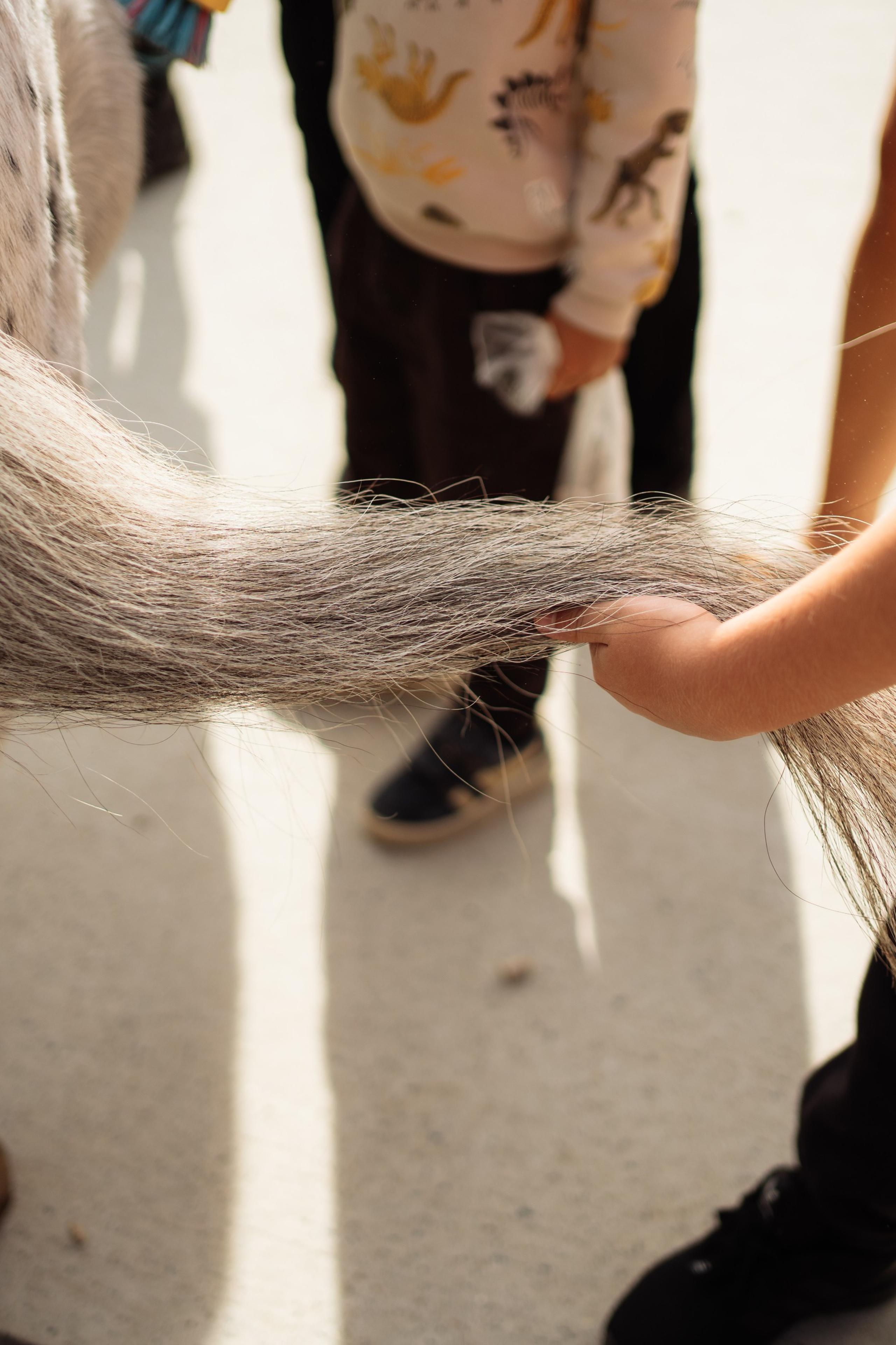 Horse party. Photographer in London Daria Agafonova